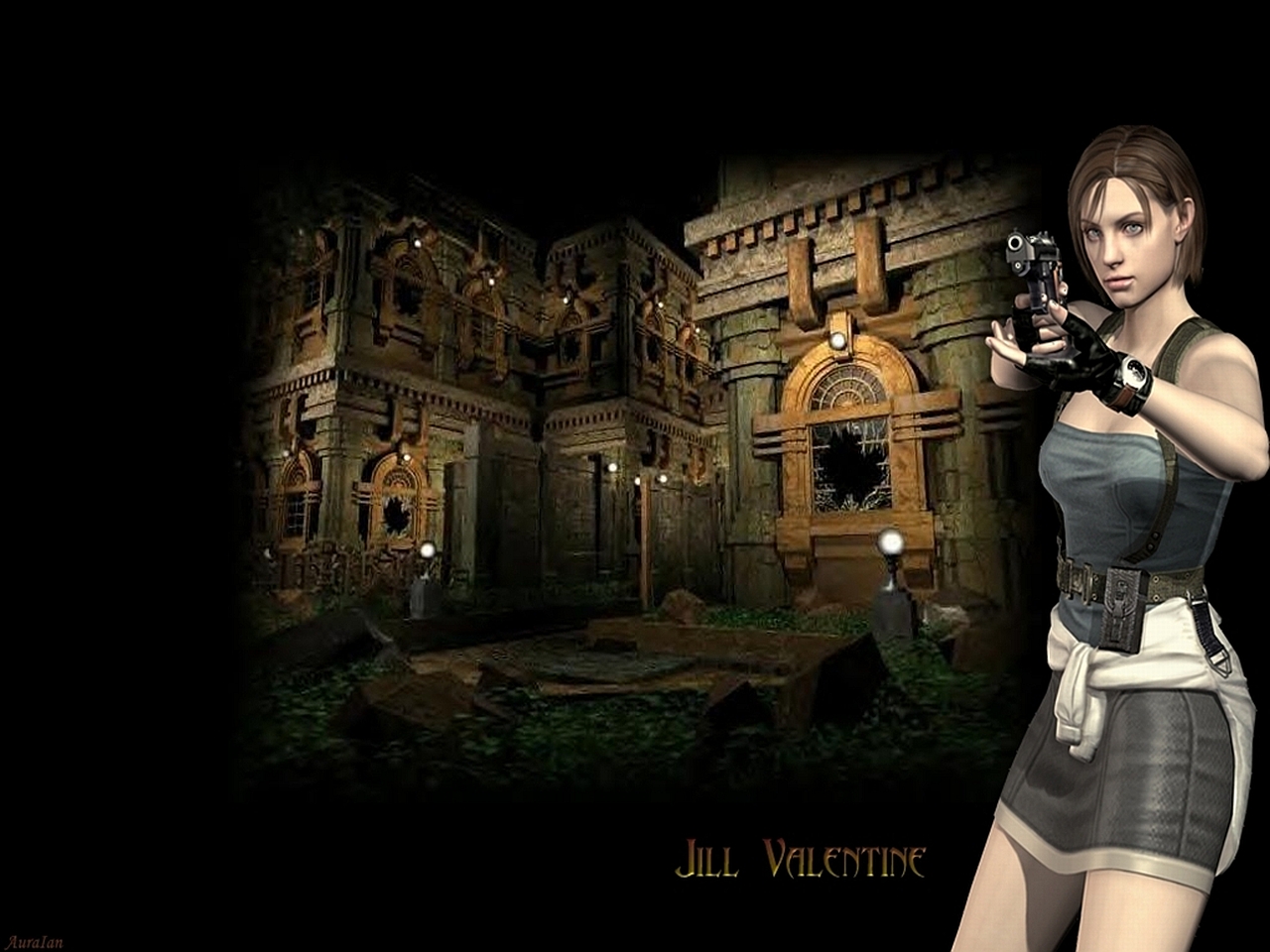 Resident evil картина по номерам