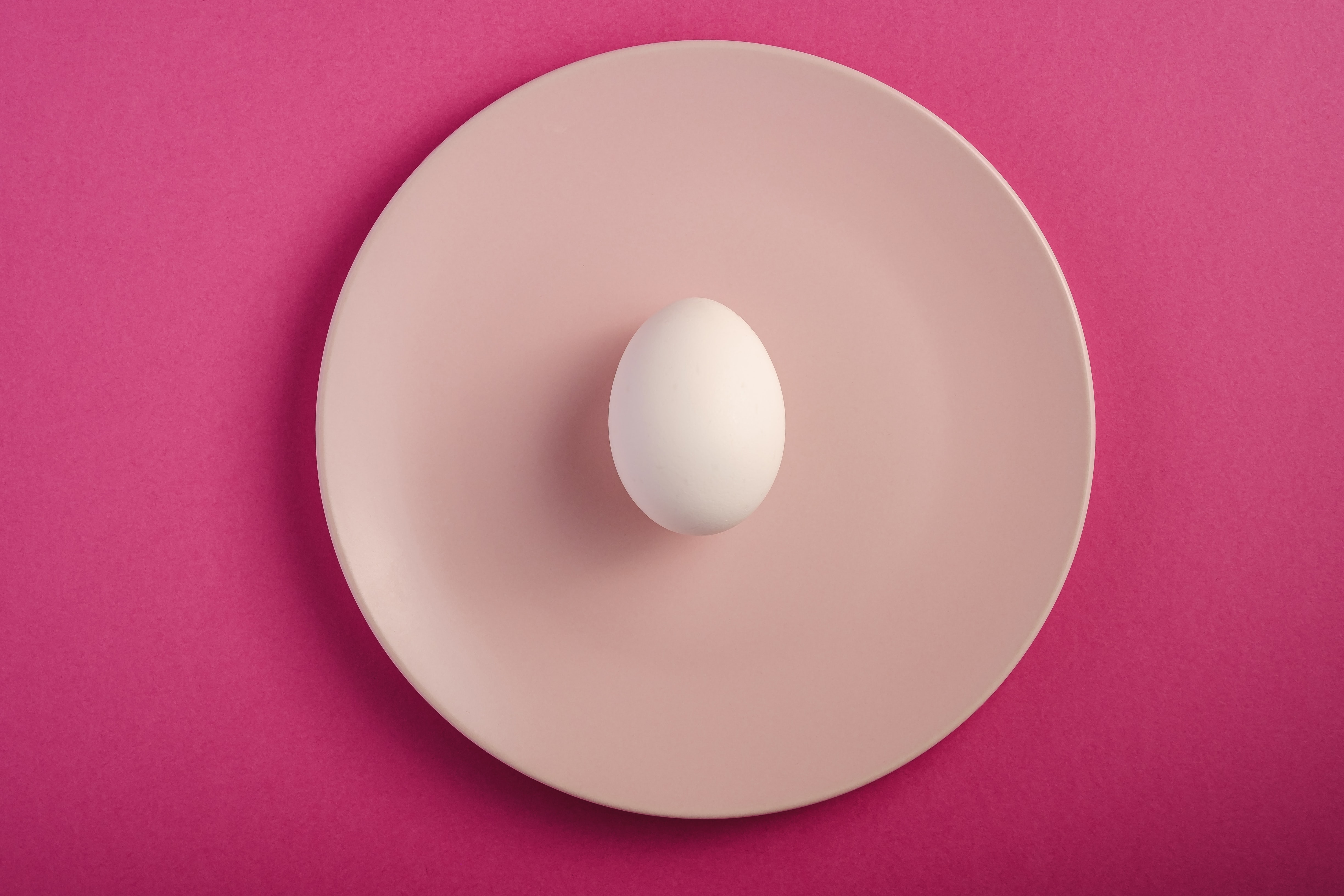 Egg in a plate by Rodion Kutsaev