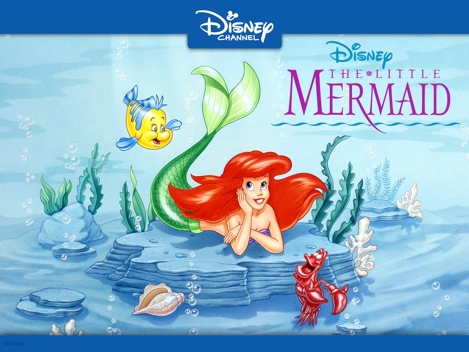 The Little Mermaid Picture Image Abyss