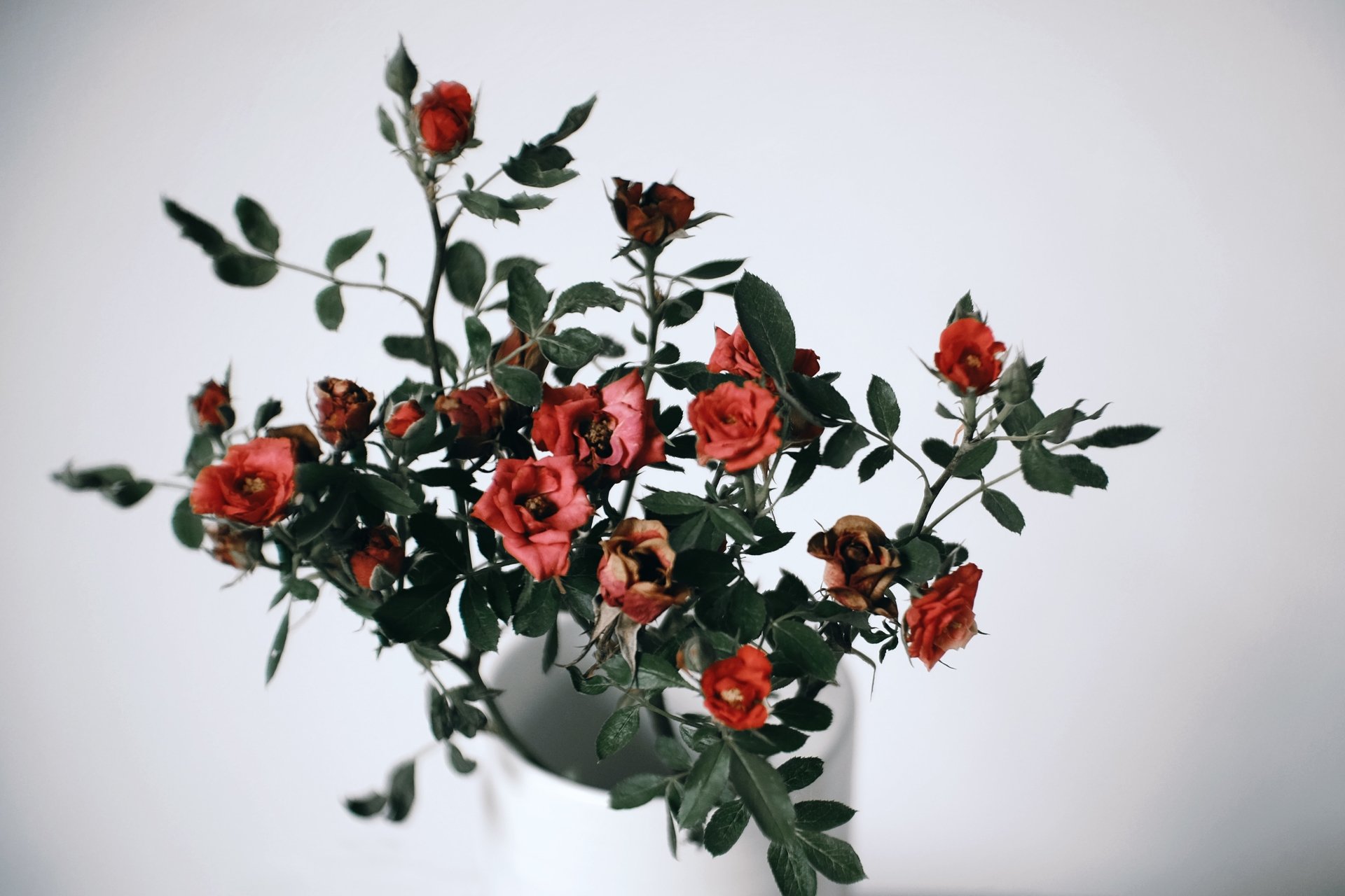 man made flower Image