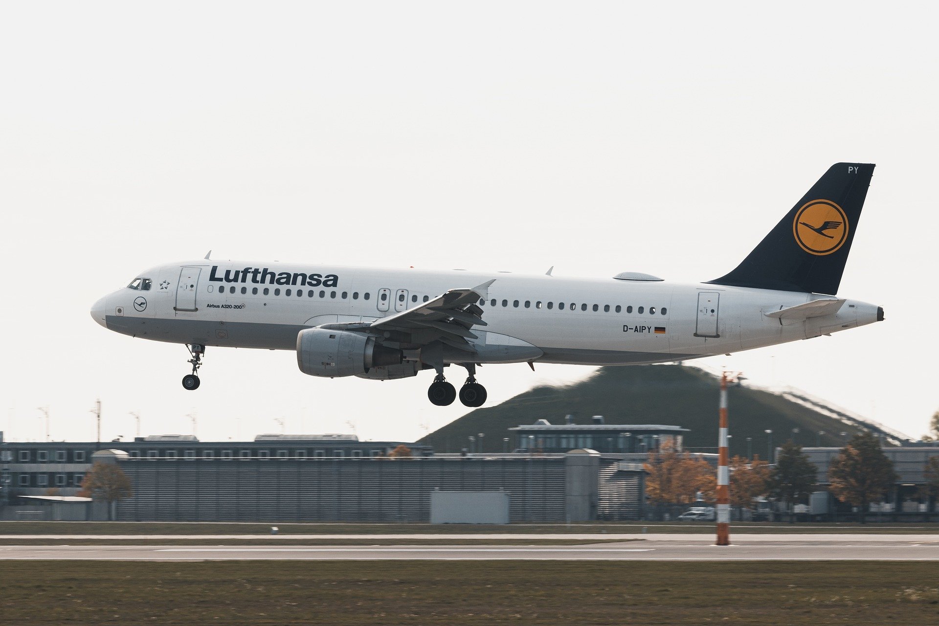  Lufthansa D-AIPY Airbus A320-211 by Dominic Wunderlich