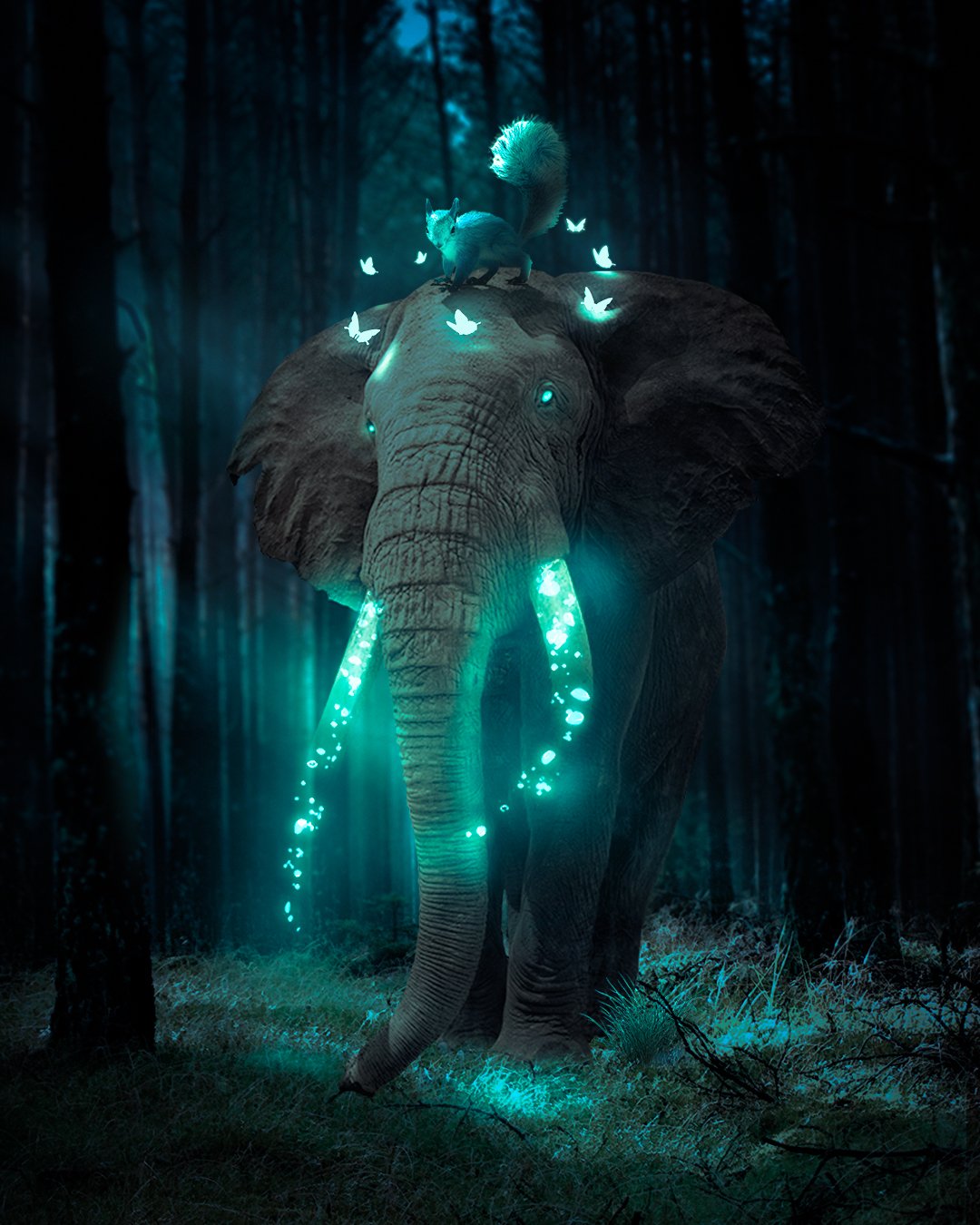  Forest guardians