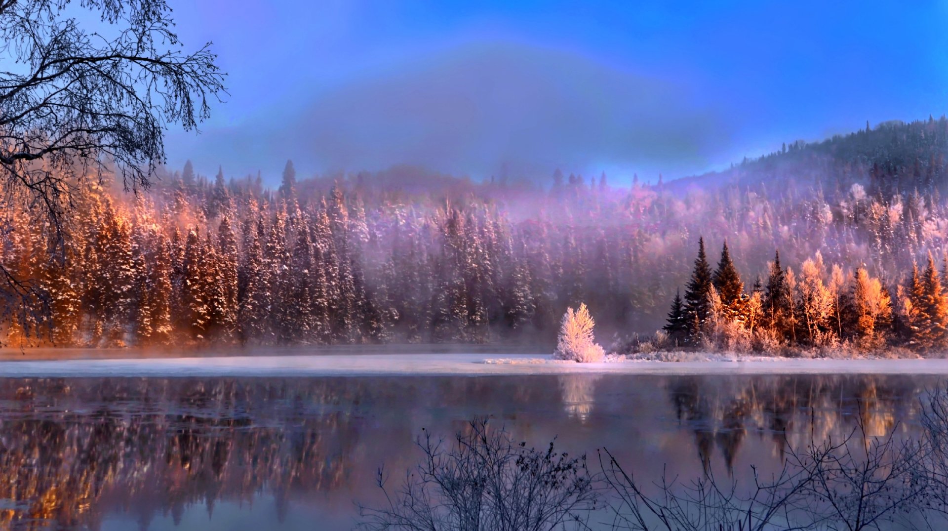 fog nature lake Image