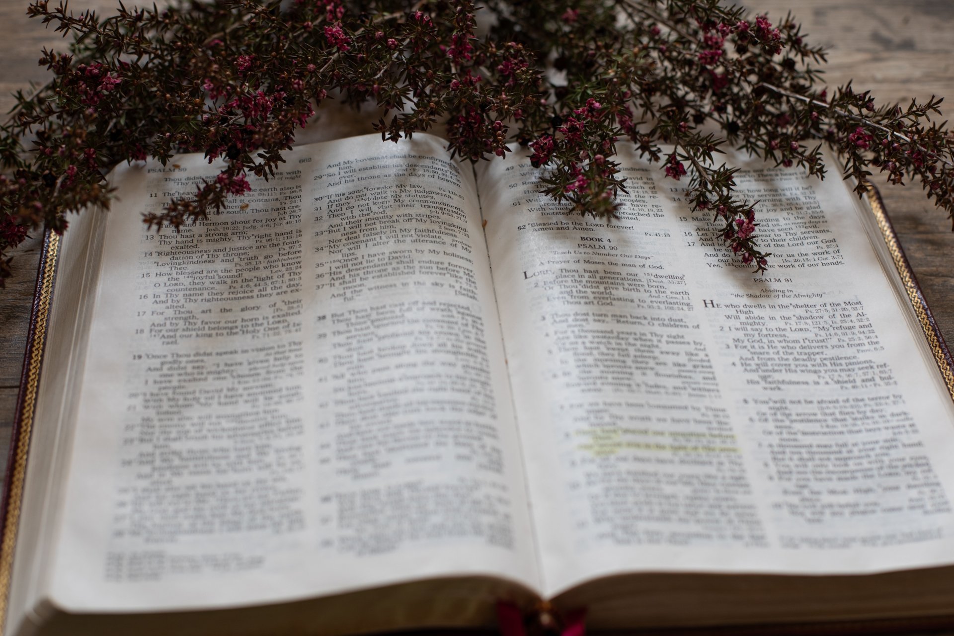 flower religious bible Image