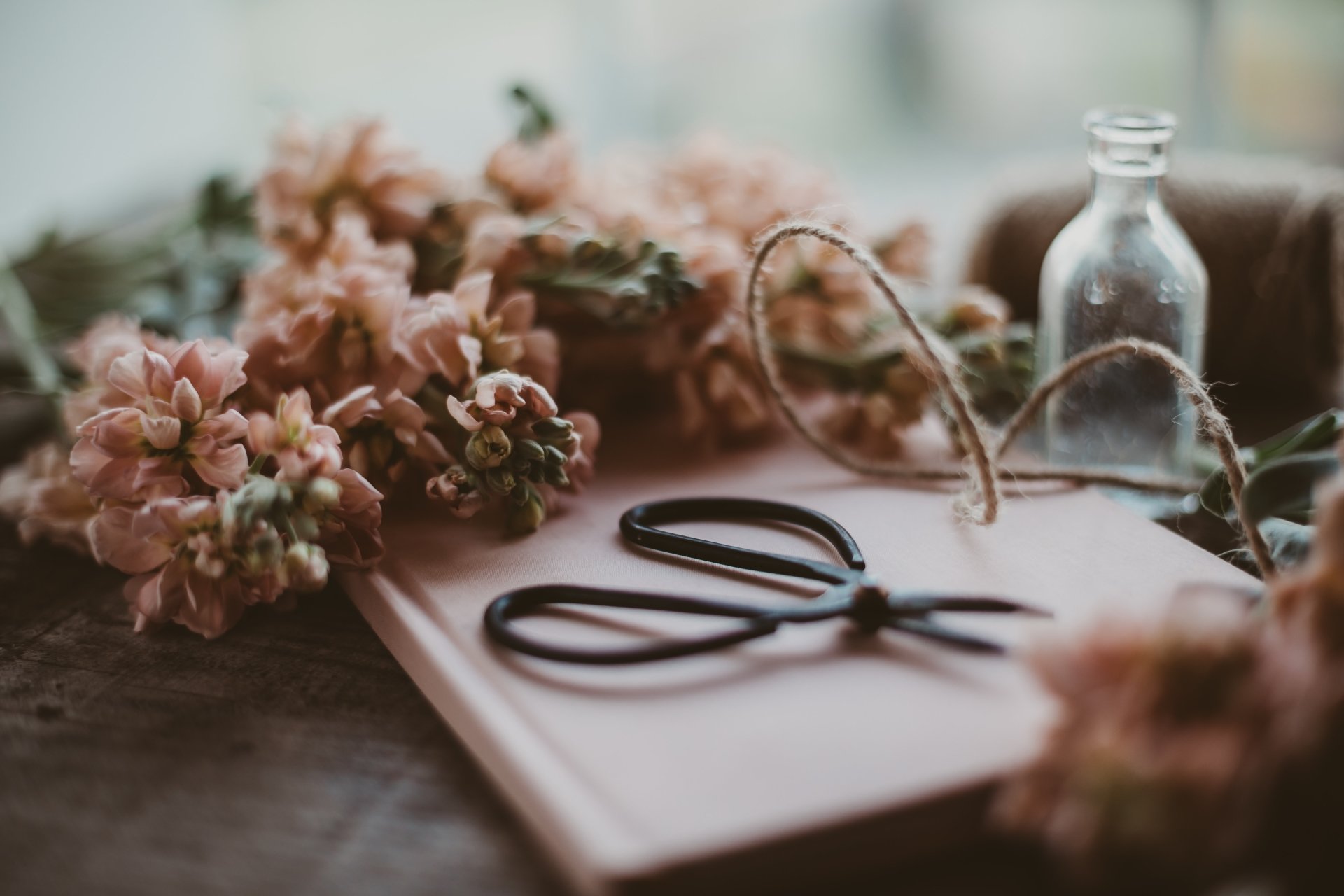 book flower photography still life Image