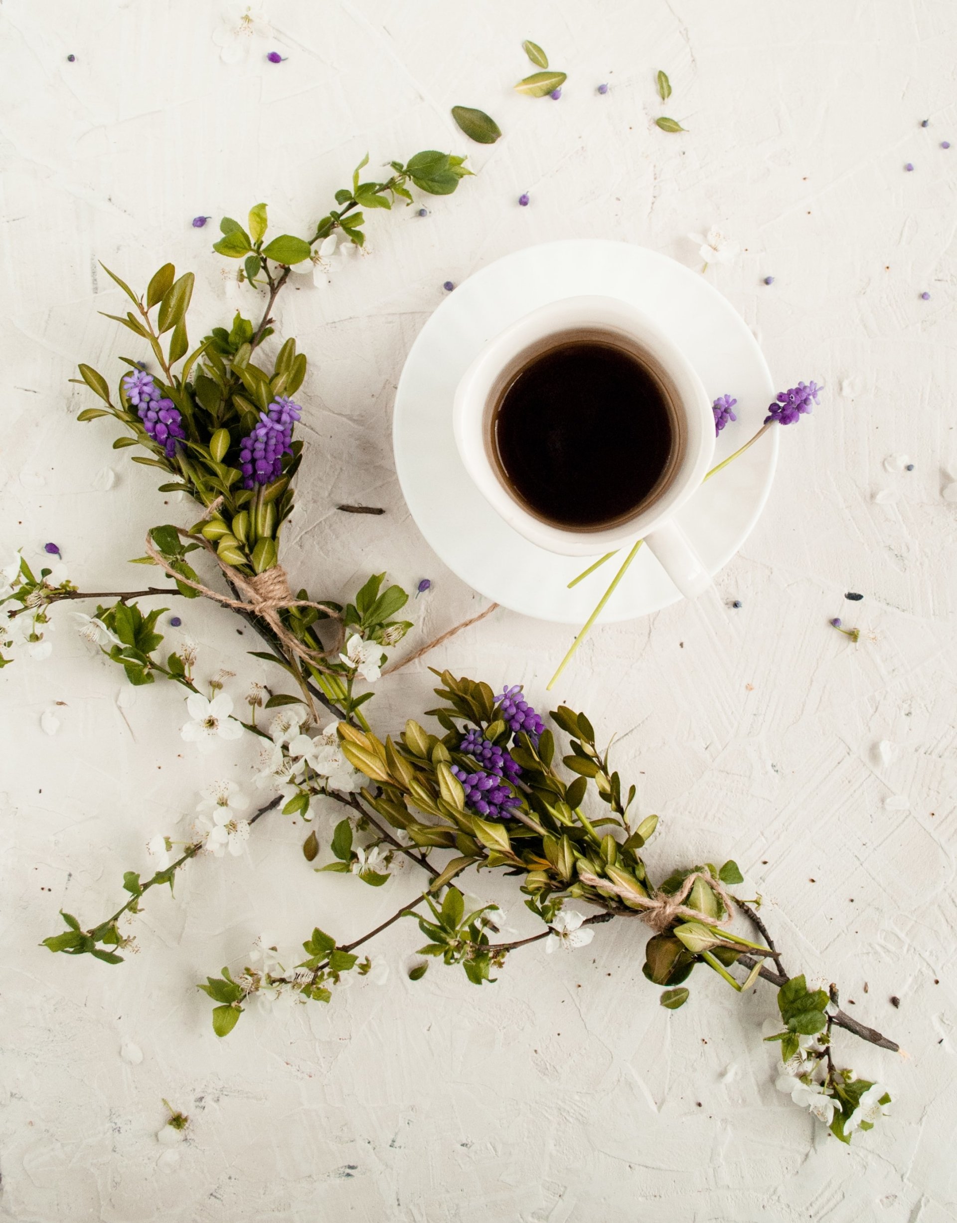 purple flower food coffee Image
