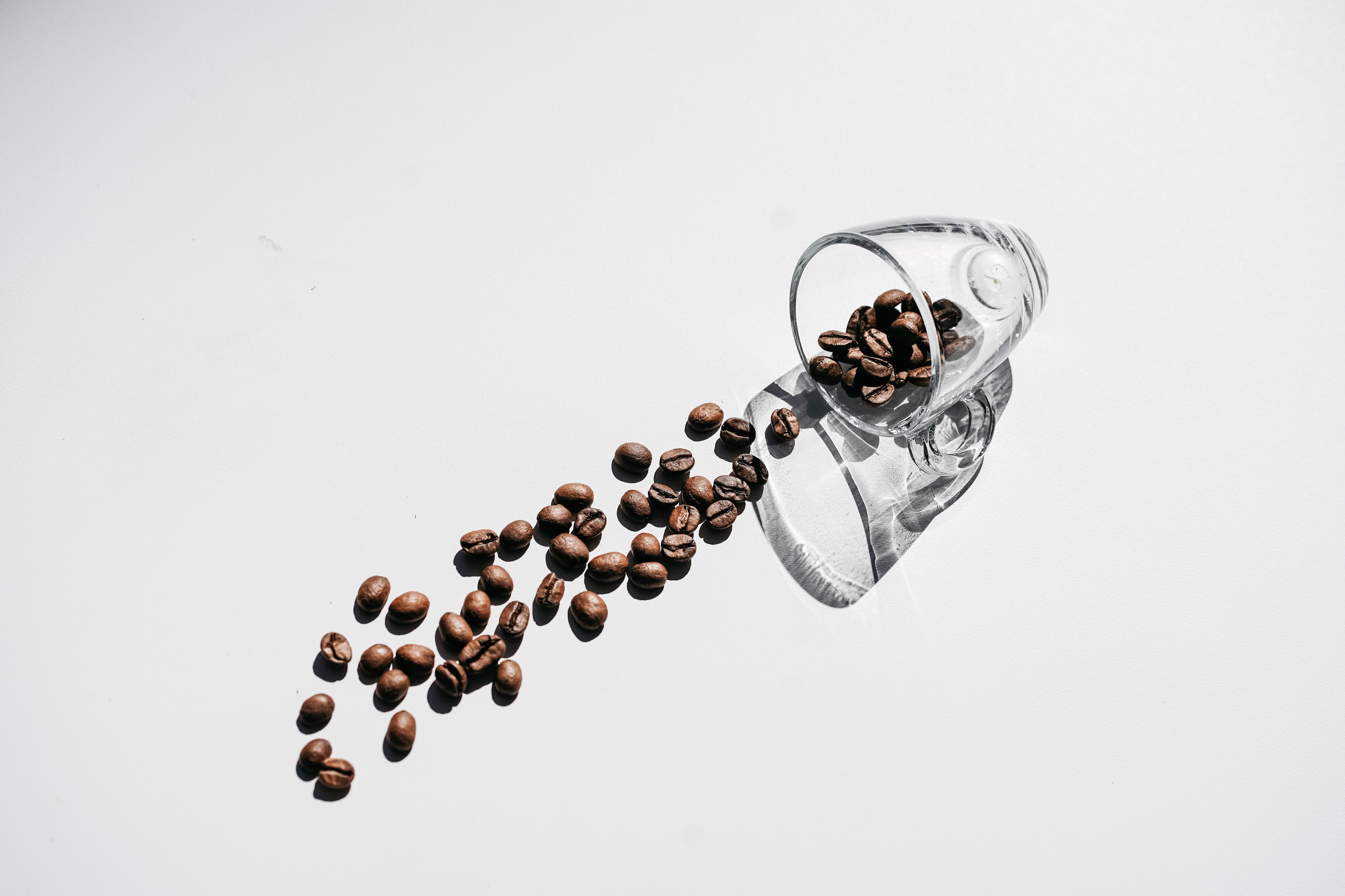 Coffee beans by Kellice Chua