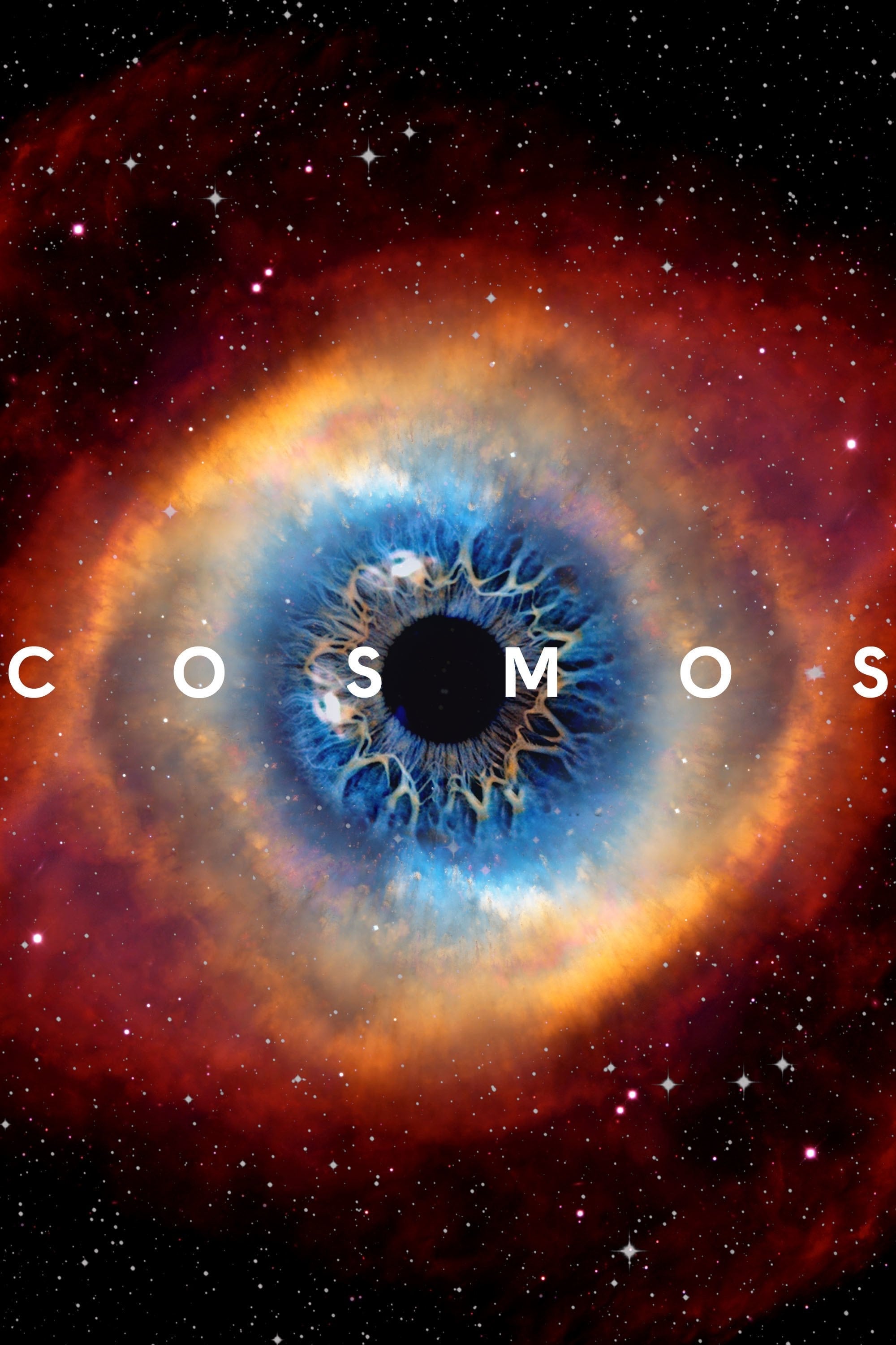 Cosmos: A Spacetime Odyssey Picture