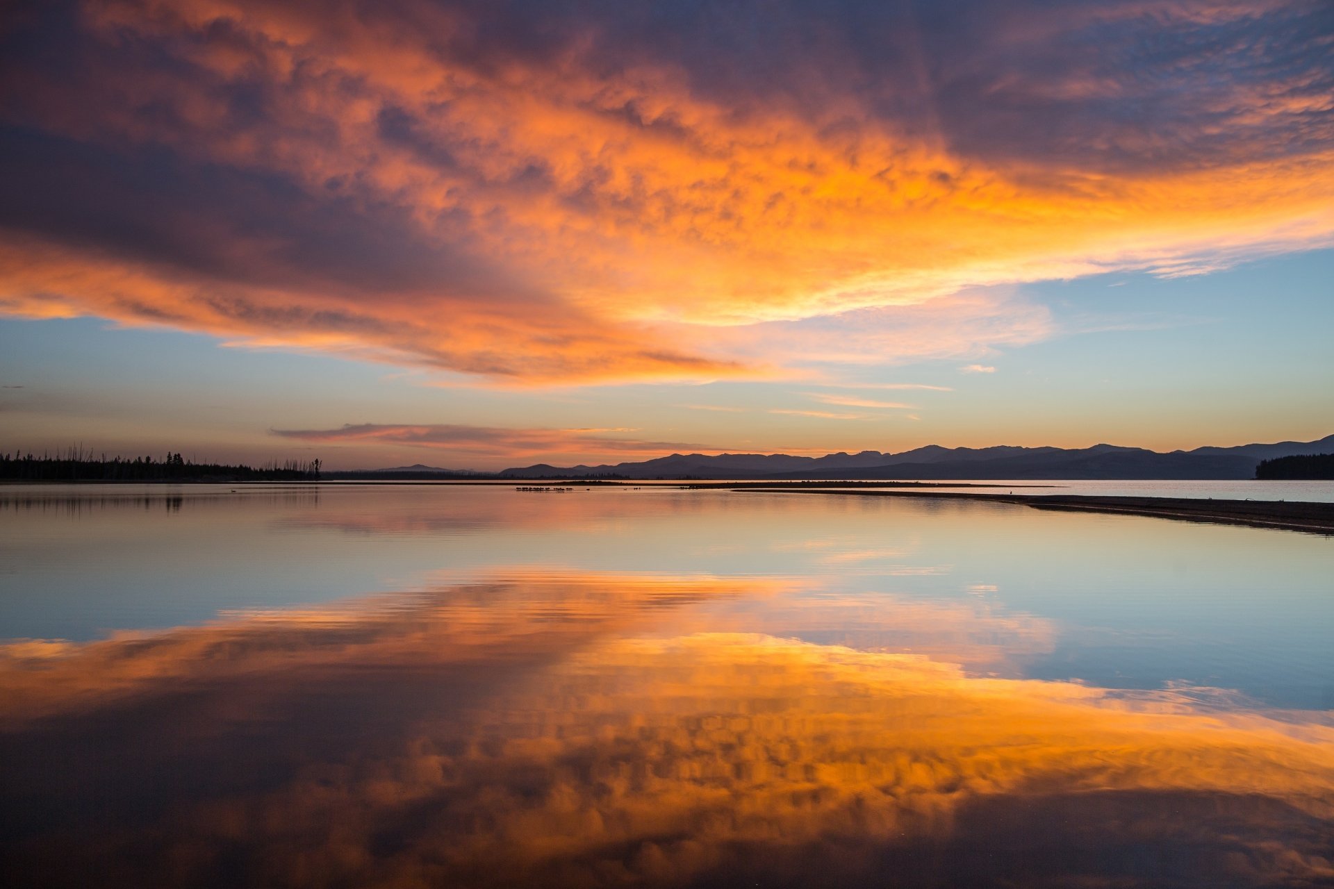 A stunning sunrise over a calm lake in Yellowstone National Park, with vibrant orange and yellow hues reflecting beautifully in the water against a serene sky.