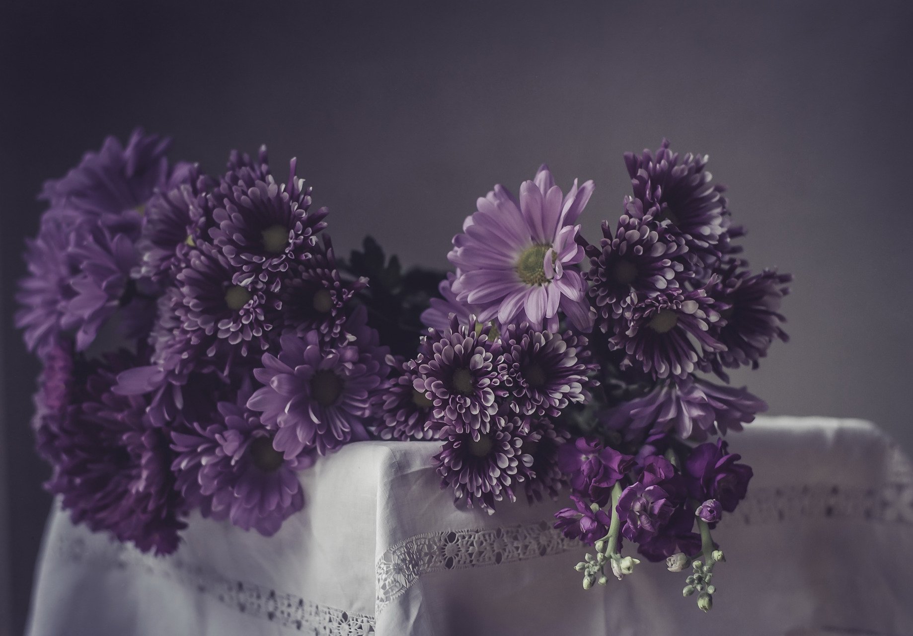 purple flower tablecloth man made flower Image