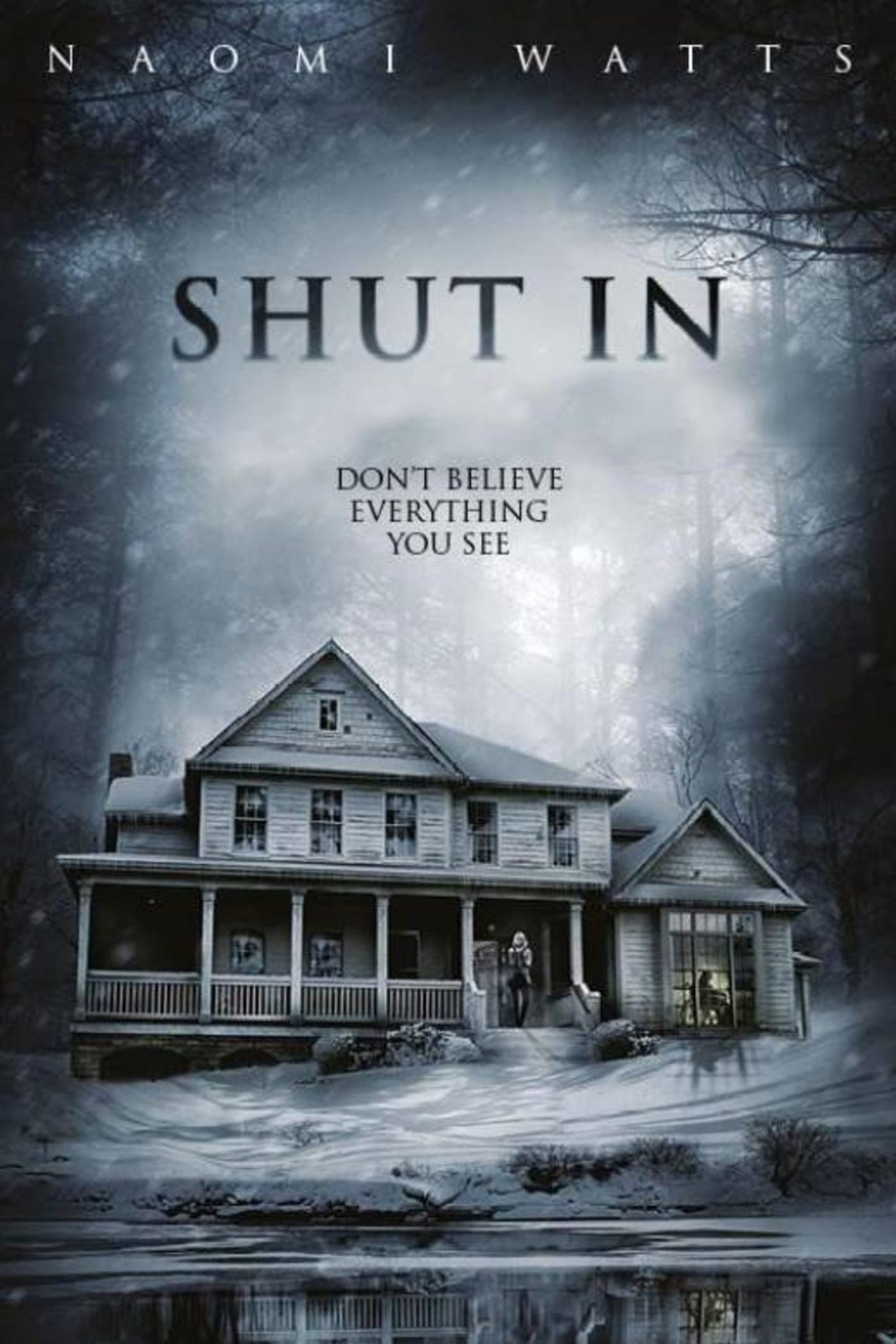 Shut In (2016) Picture
