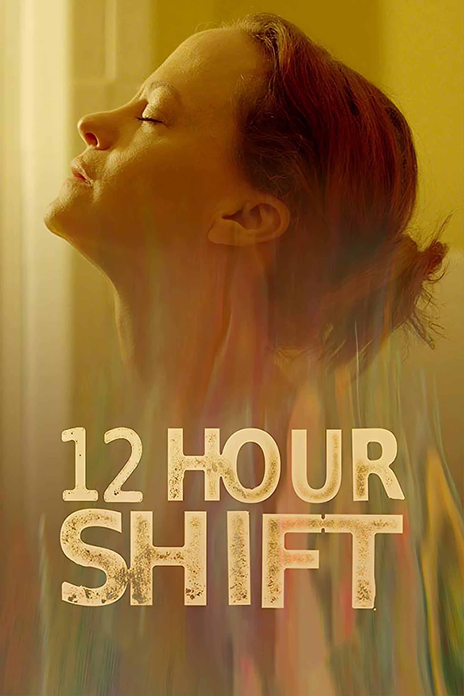 12 Hour Shift Movie Poster ID 346245 Image Abyss