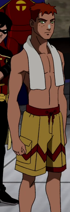 Young Justice (TV Show) green eyes red hair Red Tornado Dick Grayson Robin (DC Comics) shorts Wally West TV Show Young Justice Image