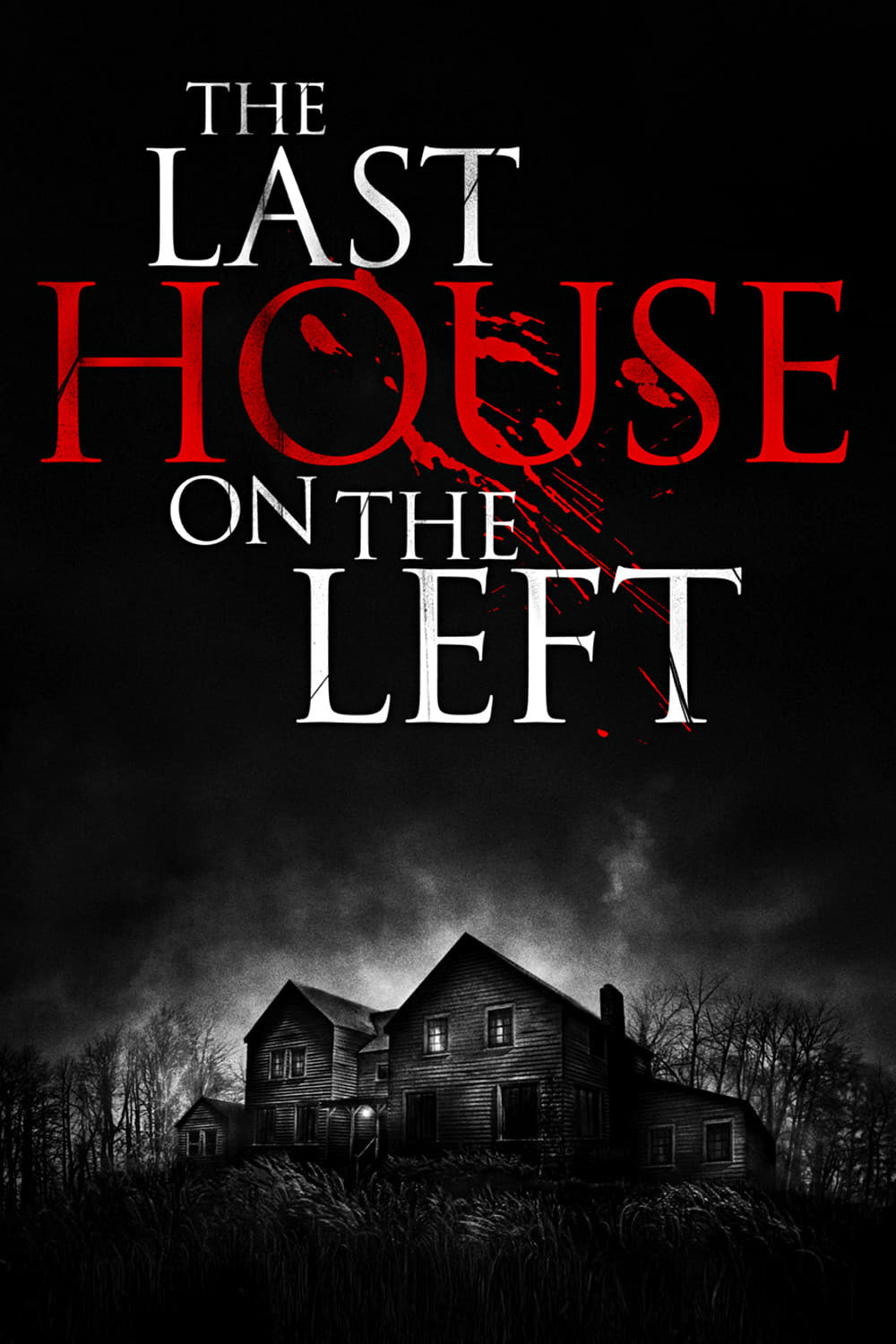 The Last House on the Left (2009) Picture