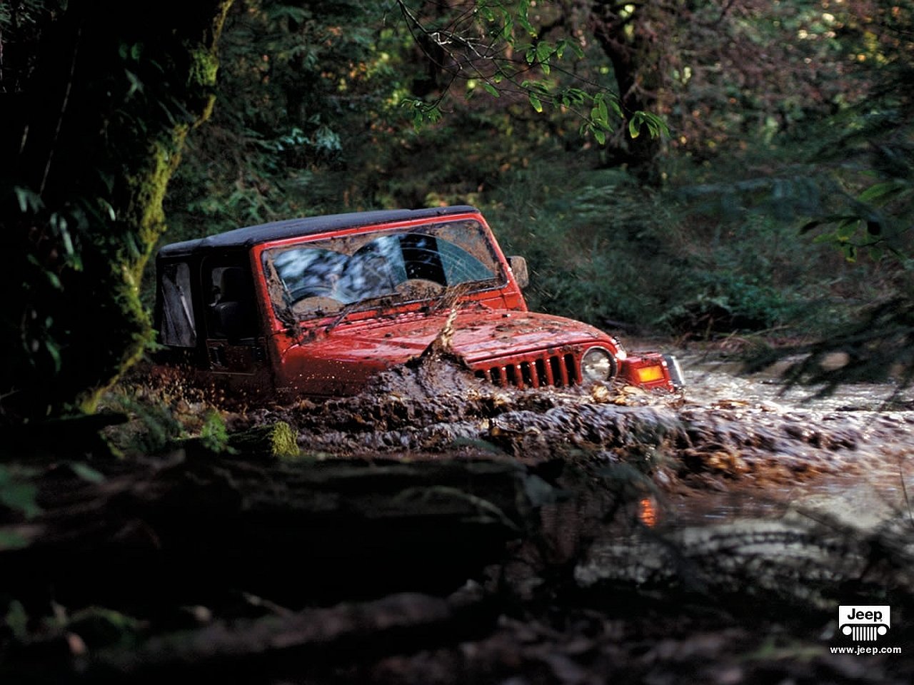 vehicle Jeep Image
