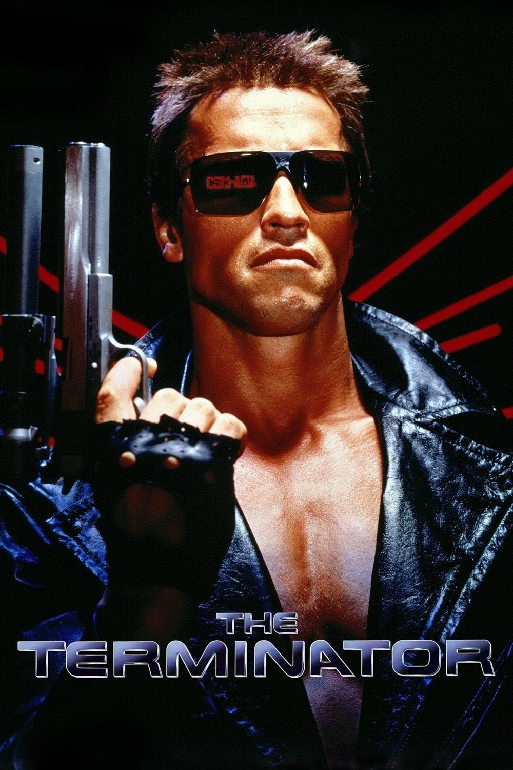 movie The Terminator Image