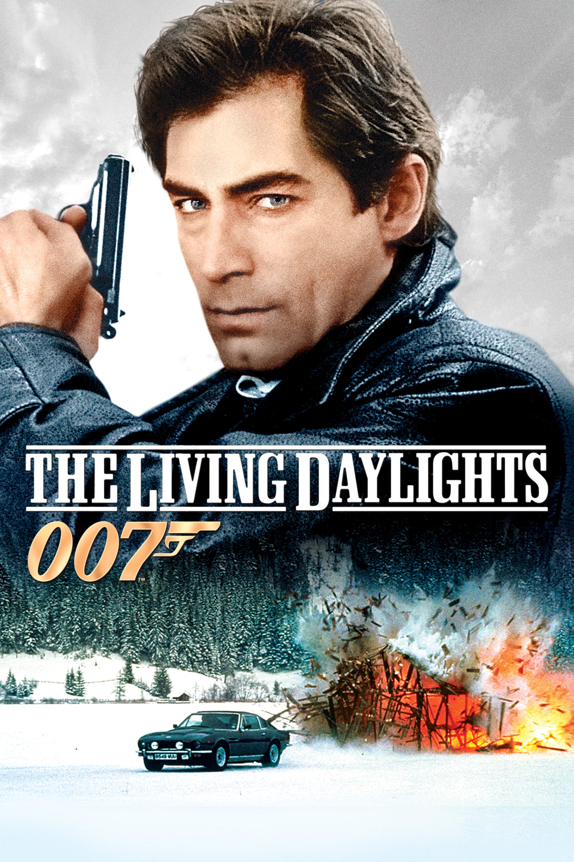 The Living Daylights Picture