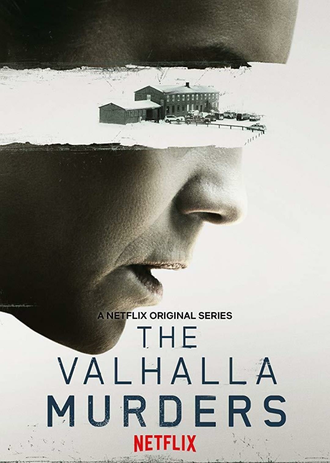 The Valhalla Murders Picture