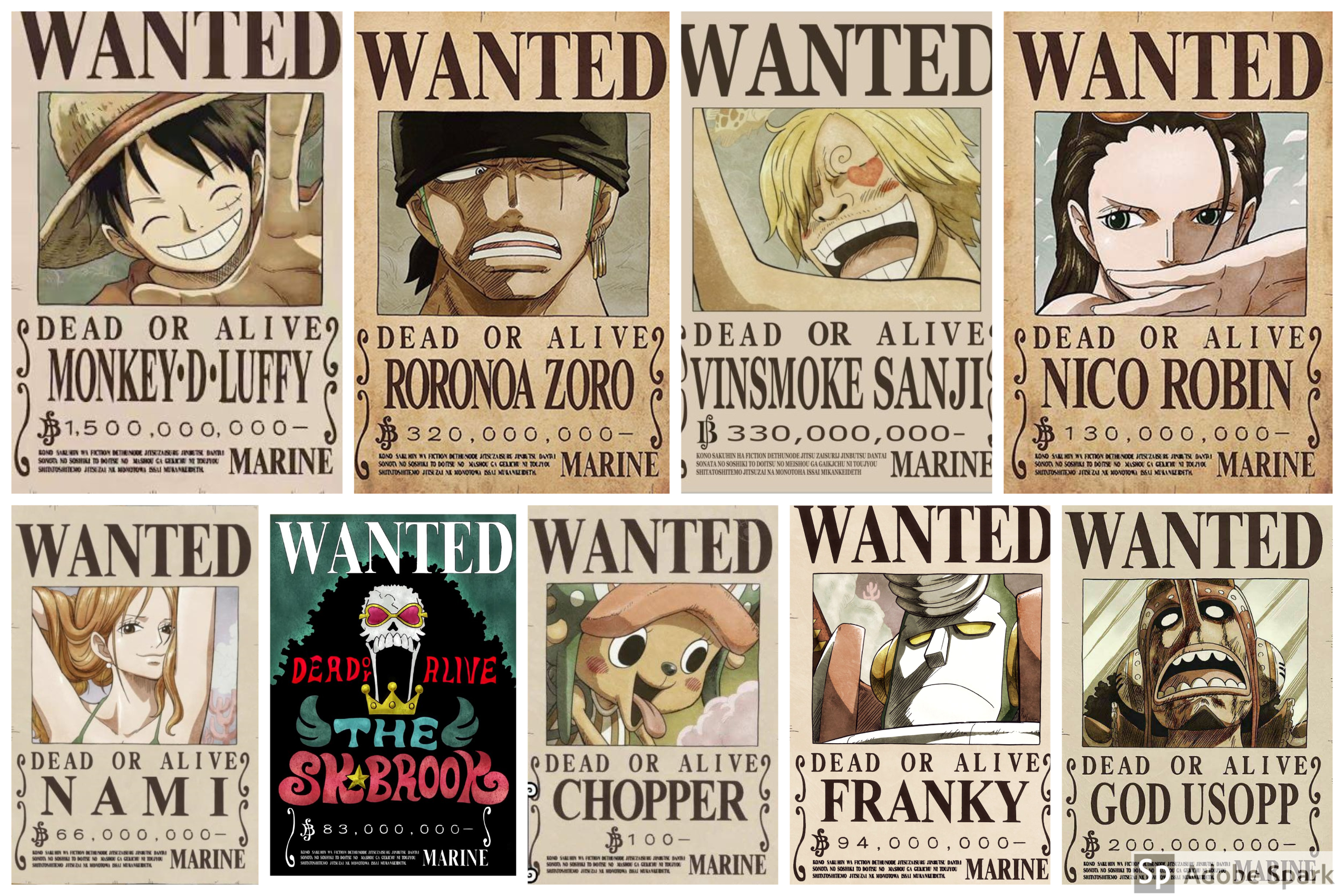 Straw Hat Pirates by Emily Pereira - Image Abyss