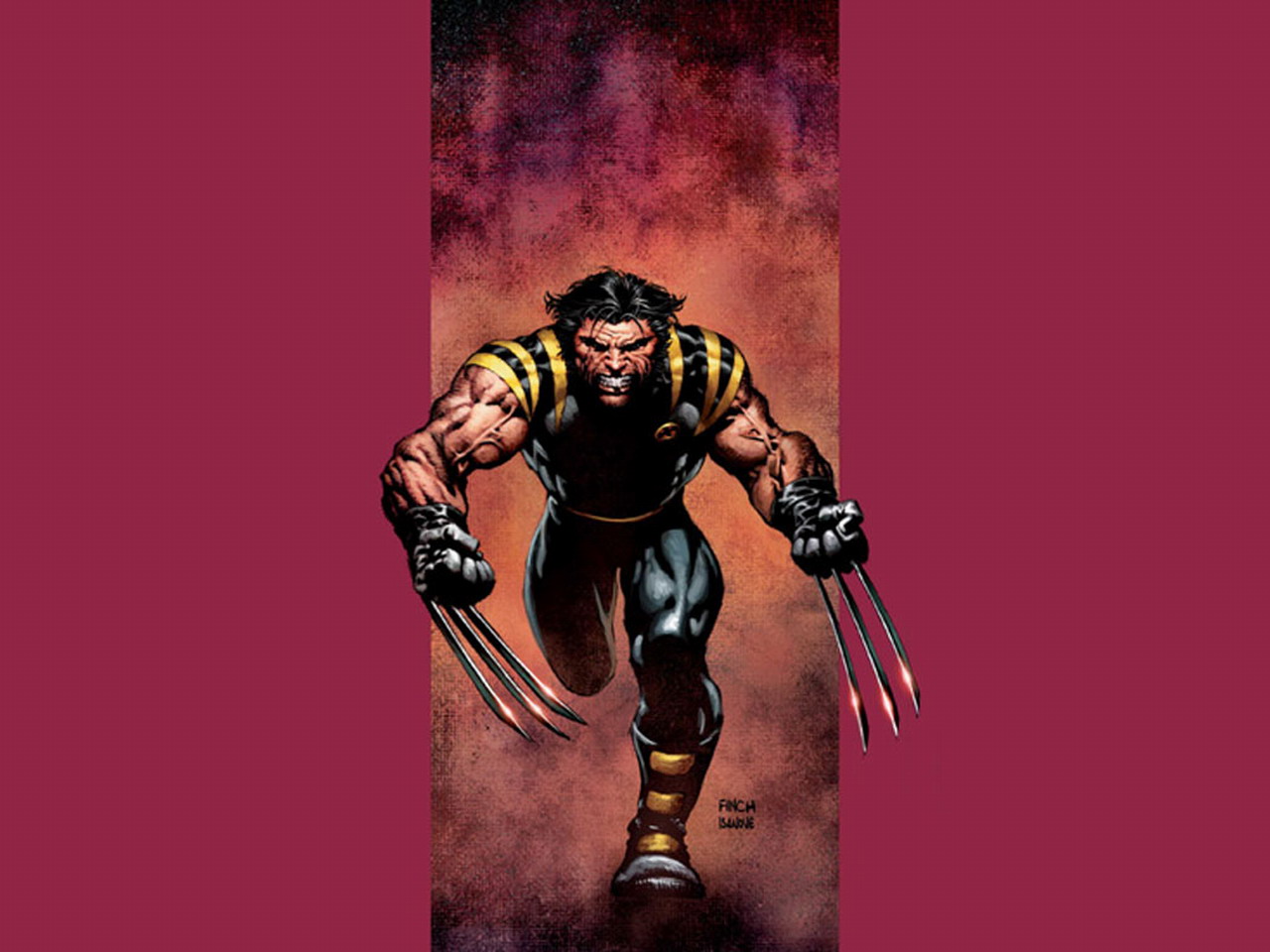 Wolverine Picture