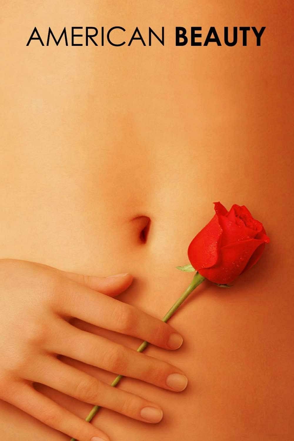 american beauty Picture