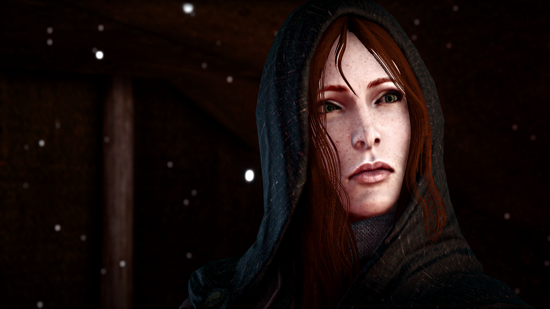 Leliana (Dragon Age) video game Dragon Age: Inquisition Image