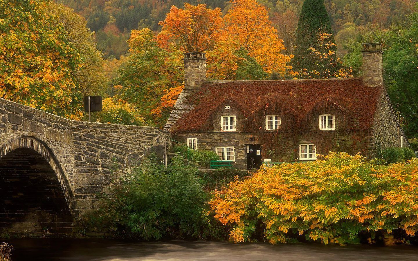 Ivy-Covered House in Wales