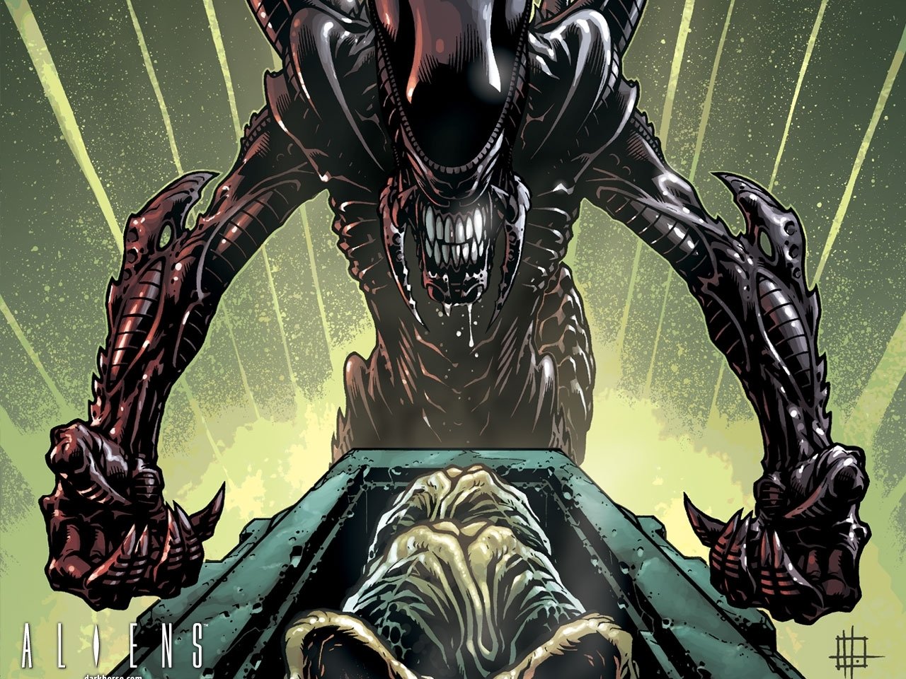 alien xenomorph Comic Image