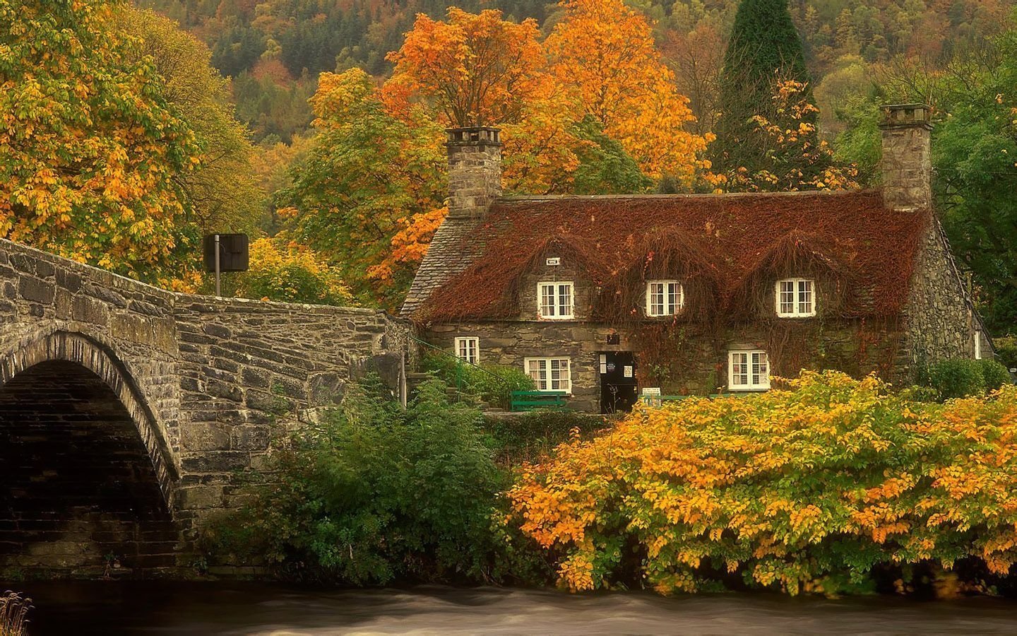  Ivy-Covered House in Wales