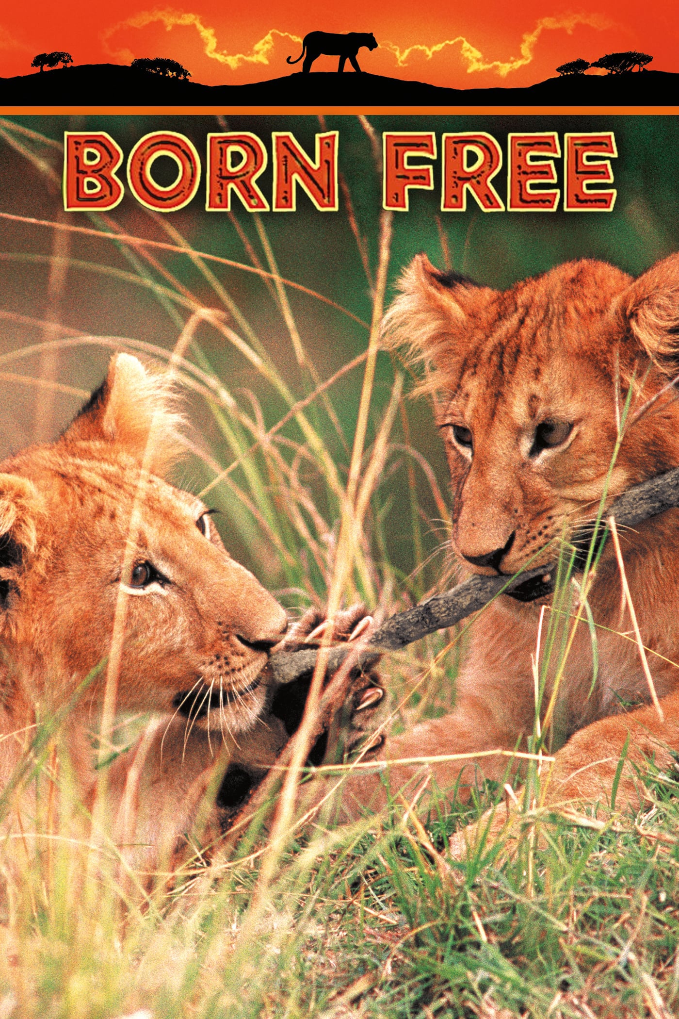 Рожденная свободной. Born free 1966. Живущие свободными (1972). Живущая свободной.