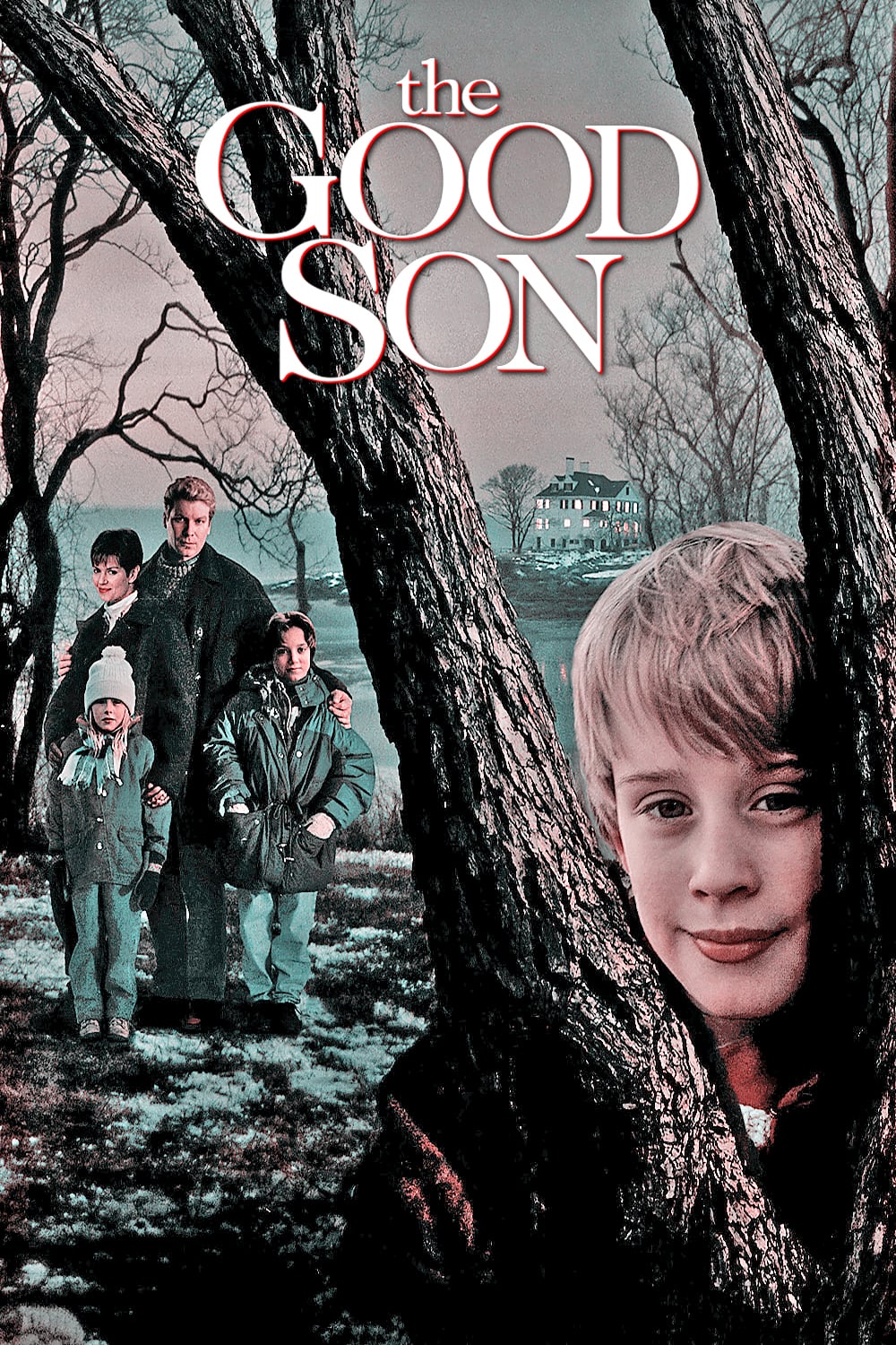 The Good Son Picture