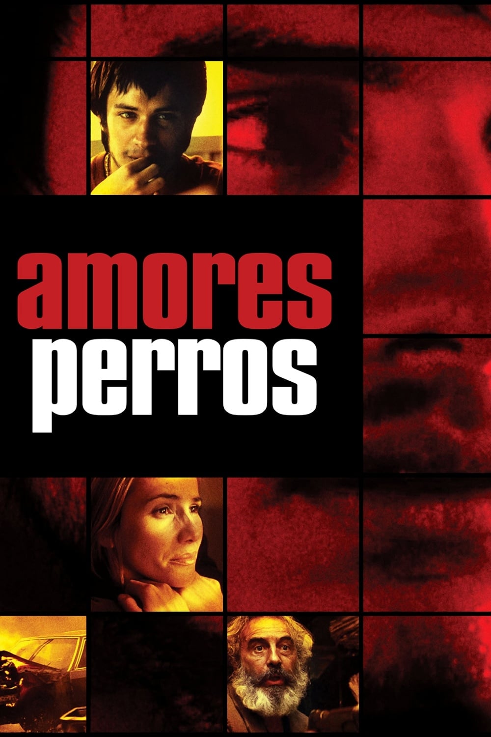 Amores perros Picture