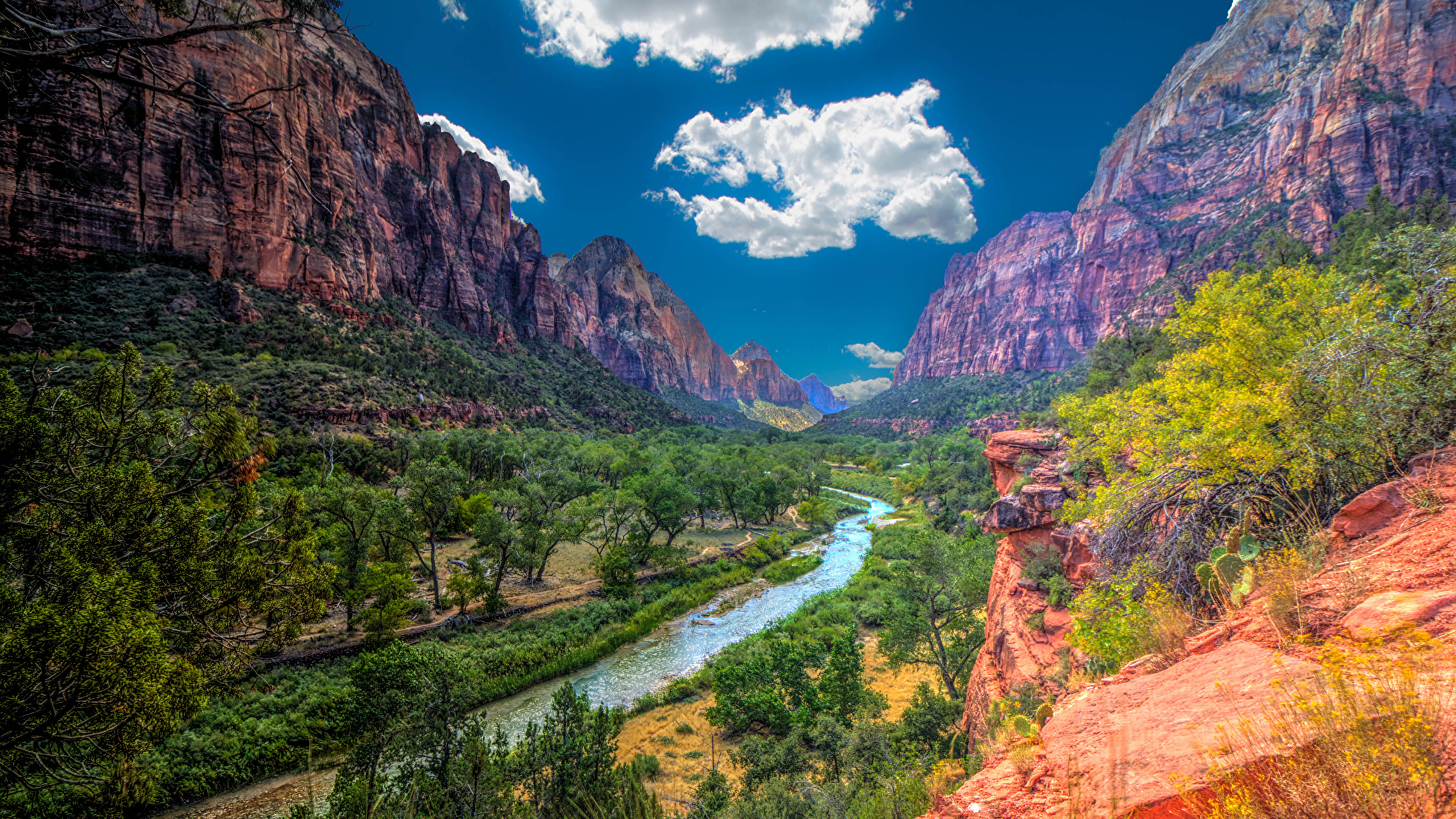 Download Landscape Nature Zion National Park Image