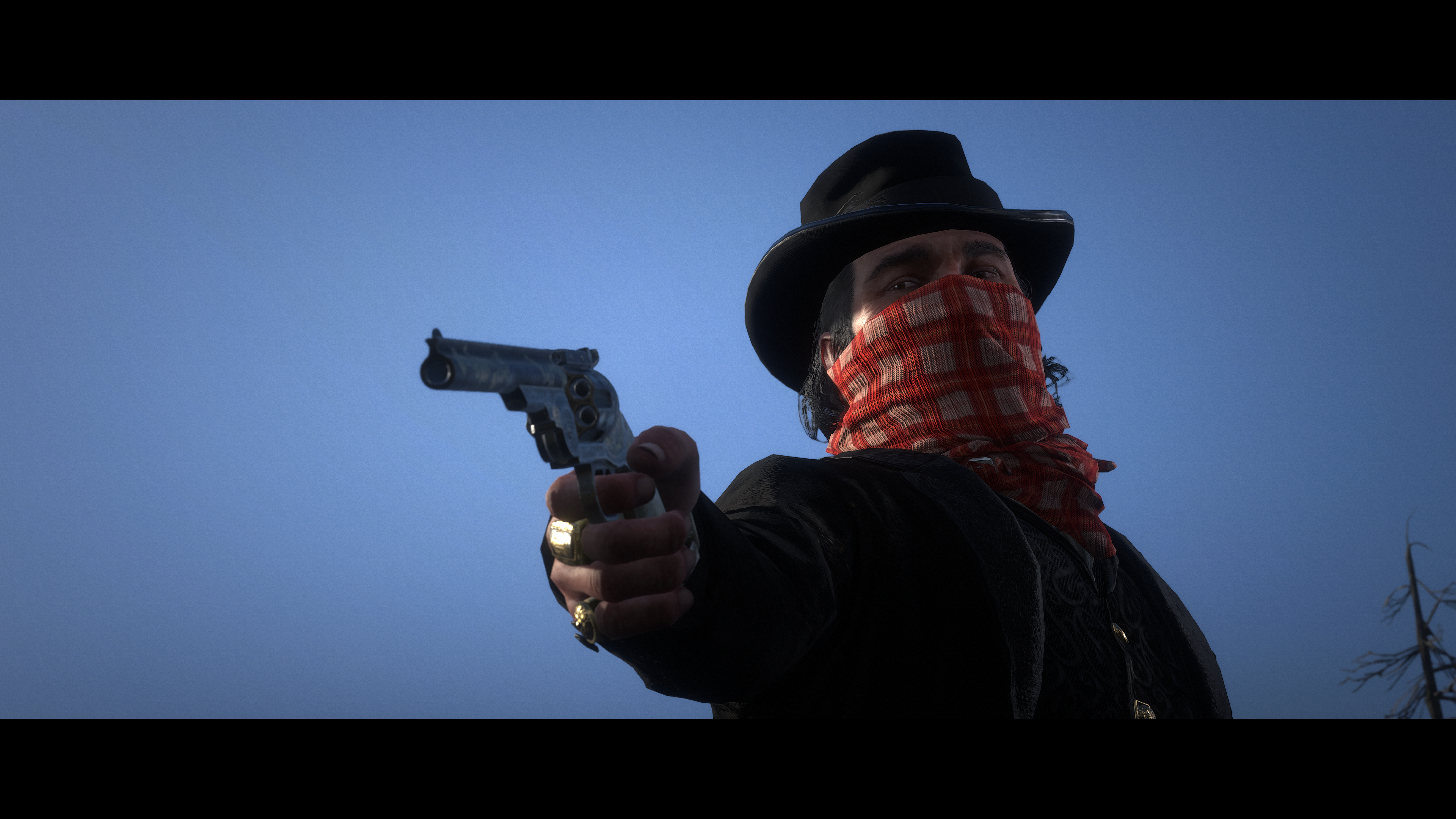 Red Dead Redemption 2 Picture