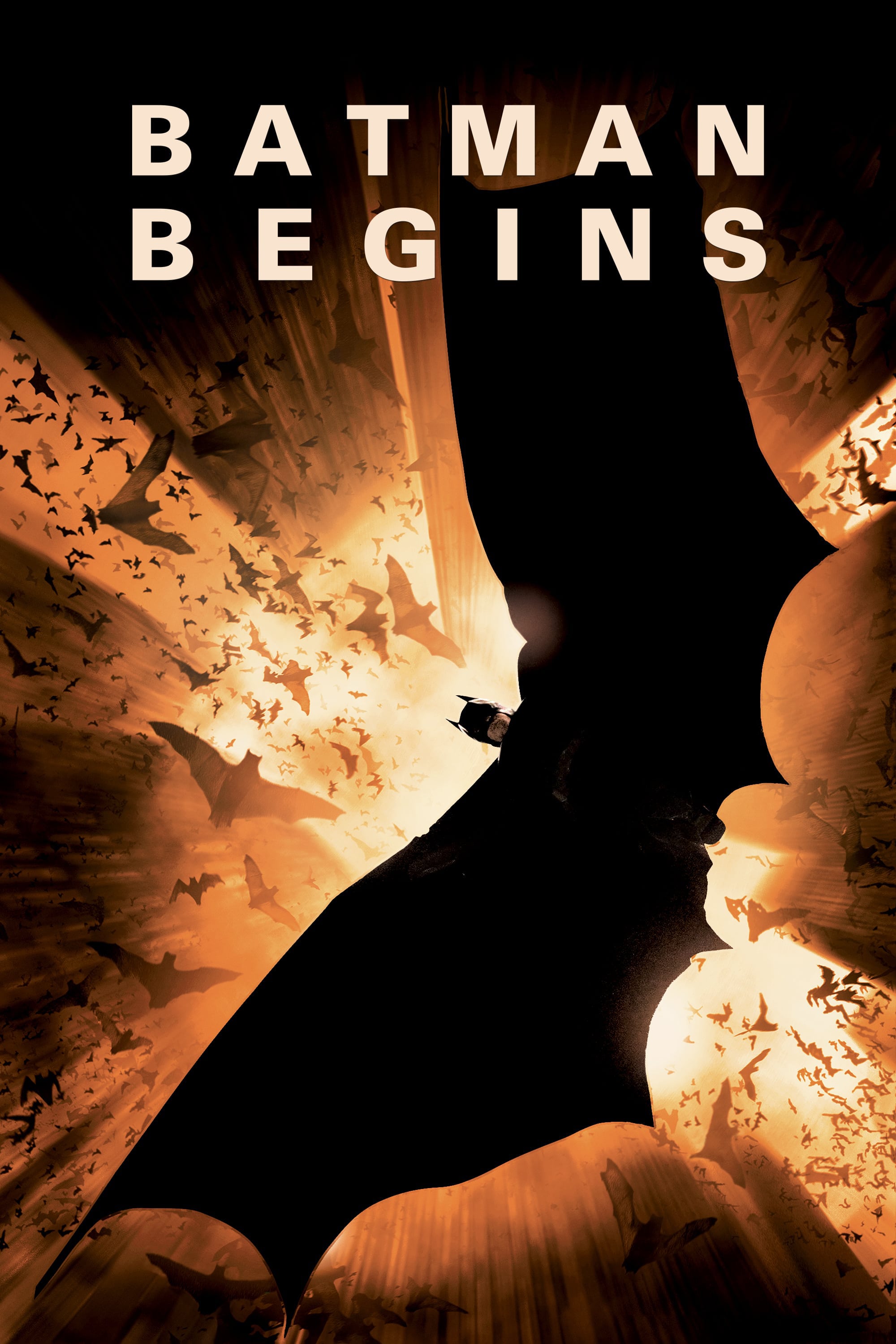 Batman Begins Picture Image Abyss 