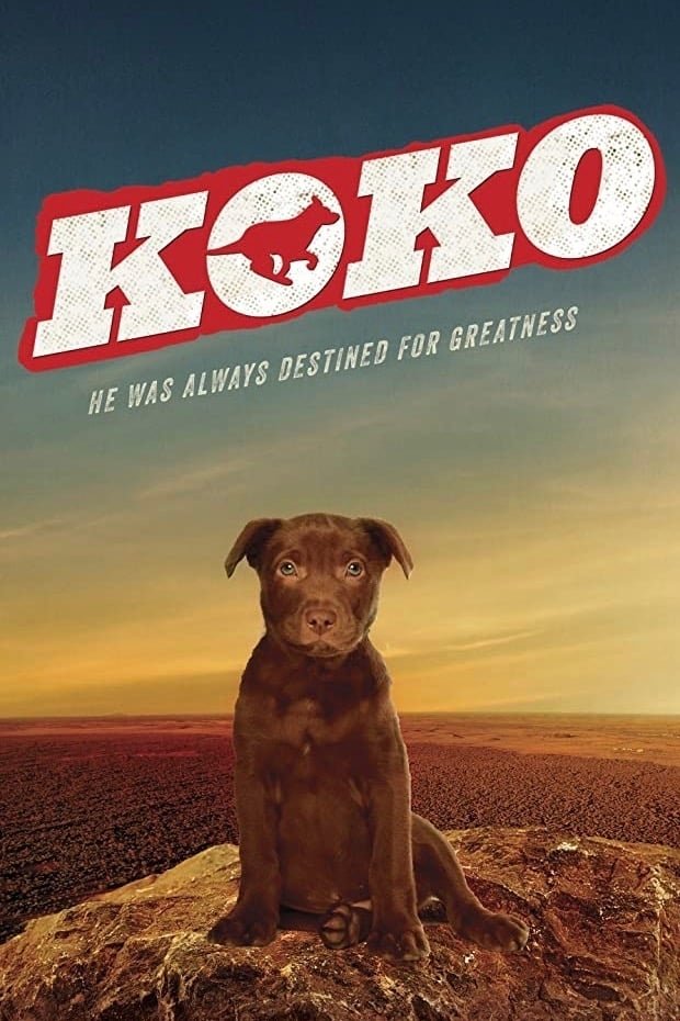 Koko: A Red Dog Story - Desktop Wallpapers, Phone Wallpaper, PFP, Gifs ...