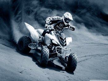 Preview Image 356527