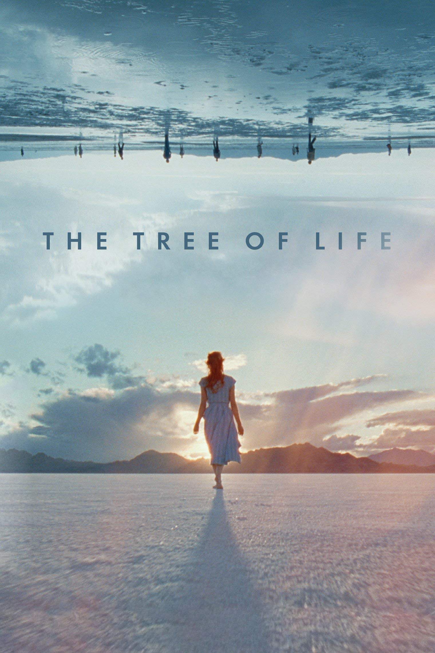 The Tree Of Life Picture