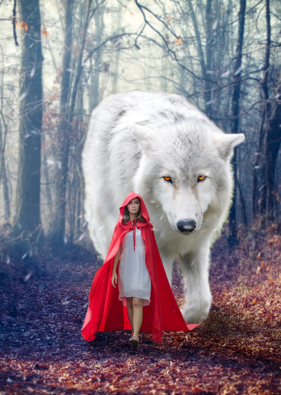 Little Red and her White Wolf in the Forest by Hassan nawaz