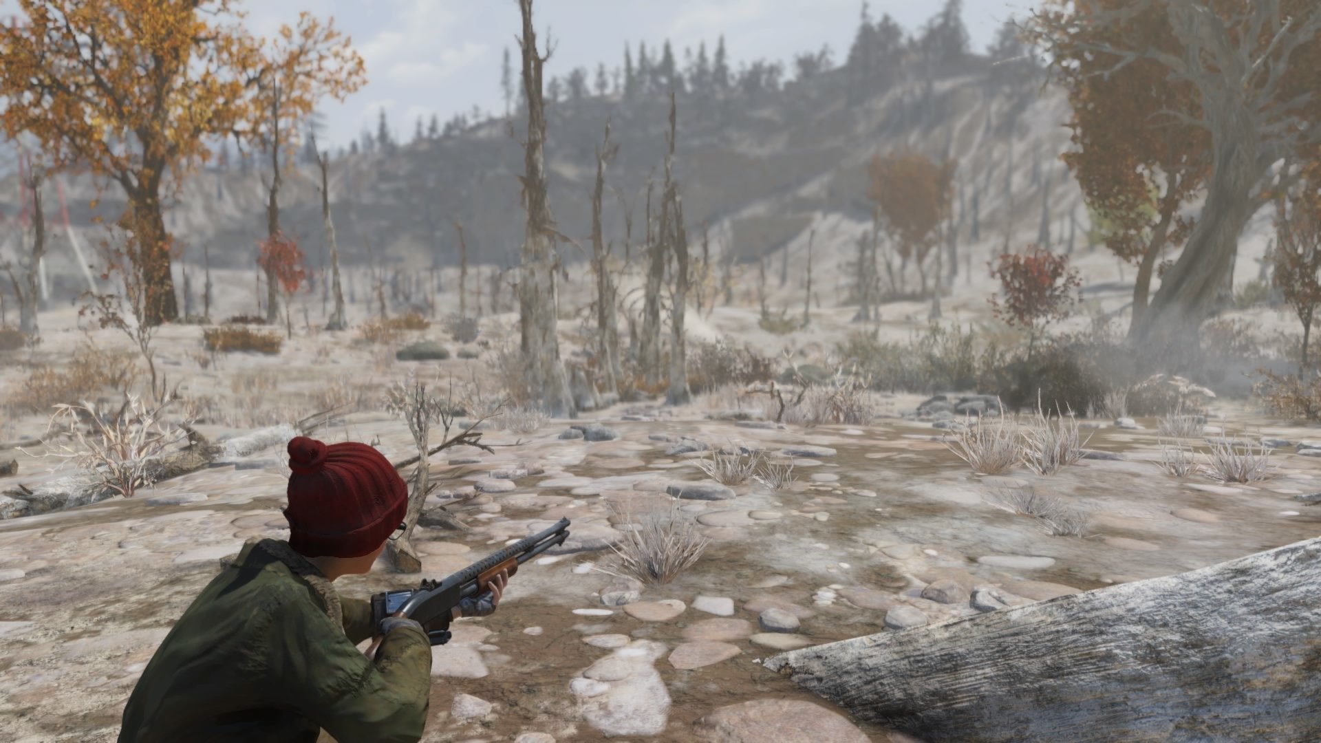 Fallout video game Fallout 76 Image