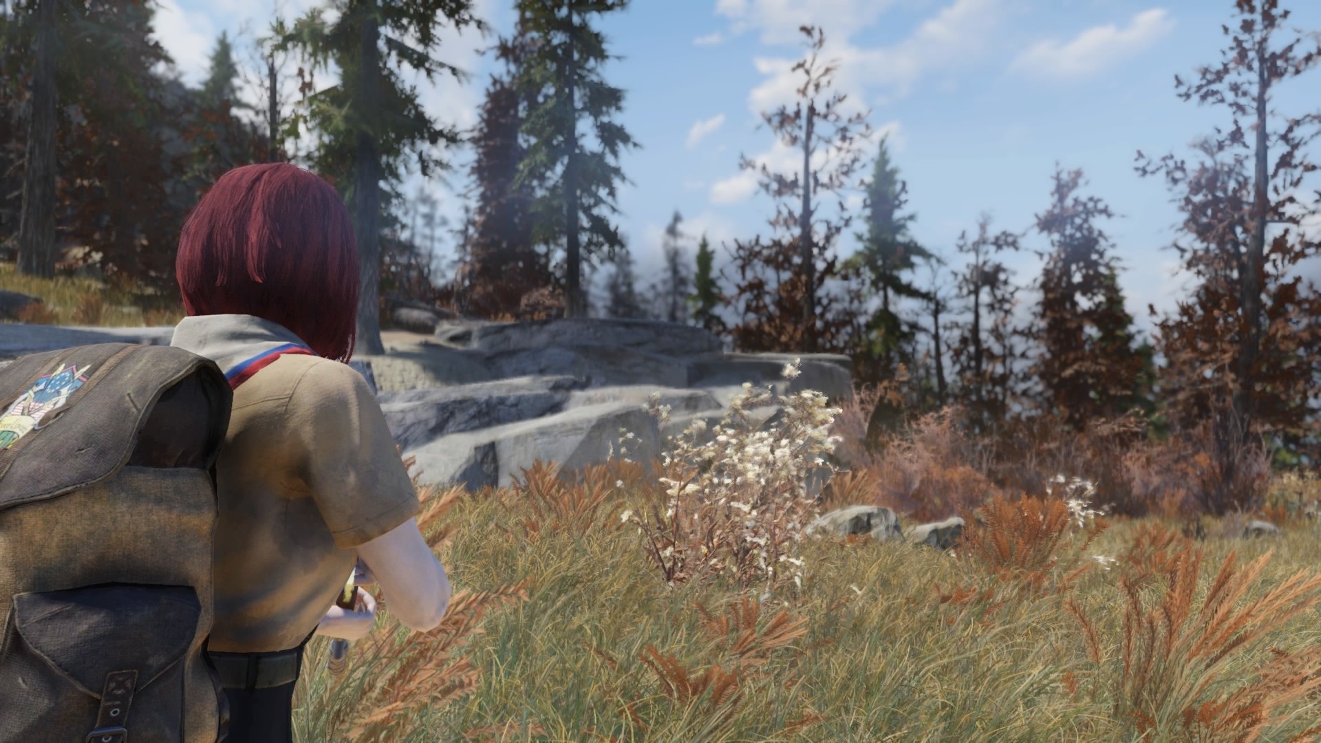 video game Fallout 76 Image