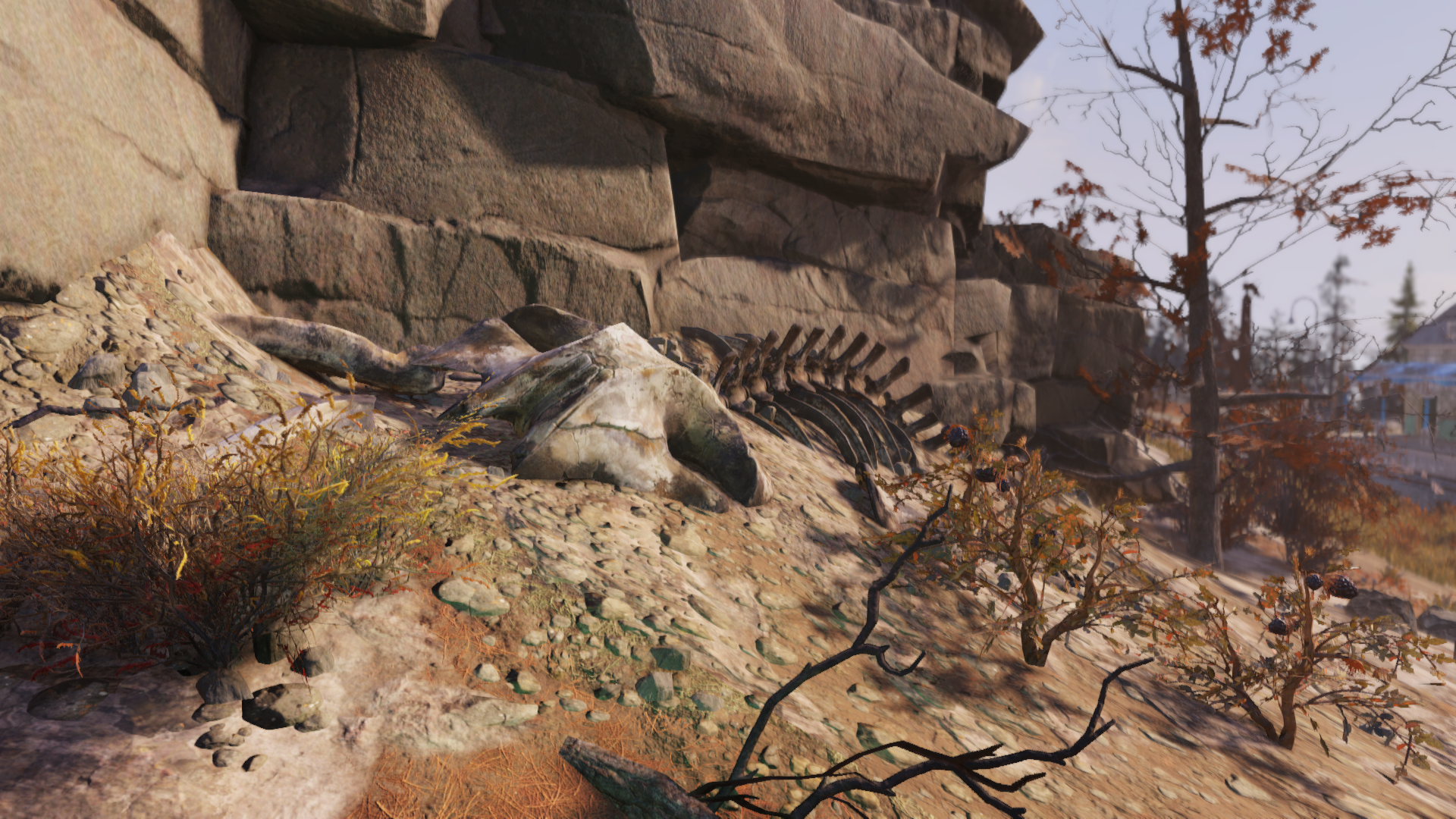 video game Fallout 76 Image