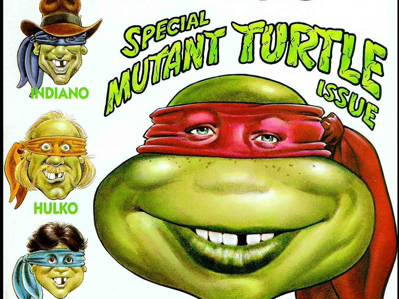 Comic-style cover from MAD Magazine featuring a humorous take on the Teenage Mutant Ninja Turtles, titled Special Mutant Turtle Issue with exaggerated facial expressions.