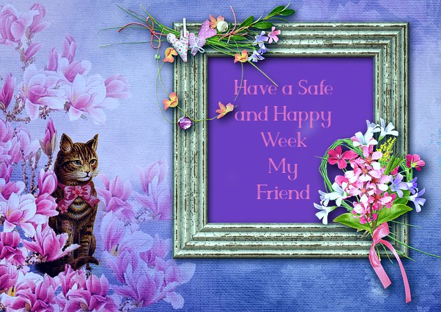  Have a Safe and Happy Week my Friend