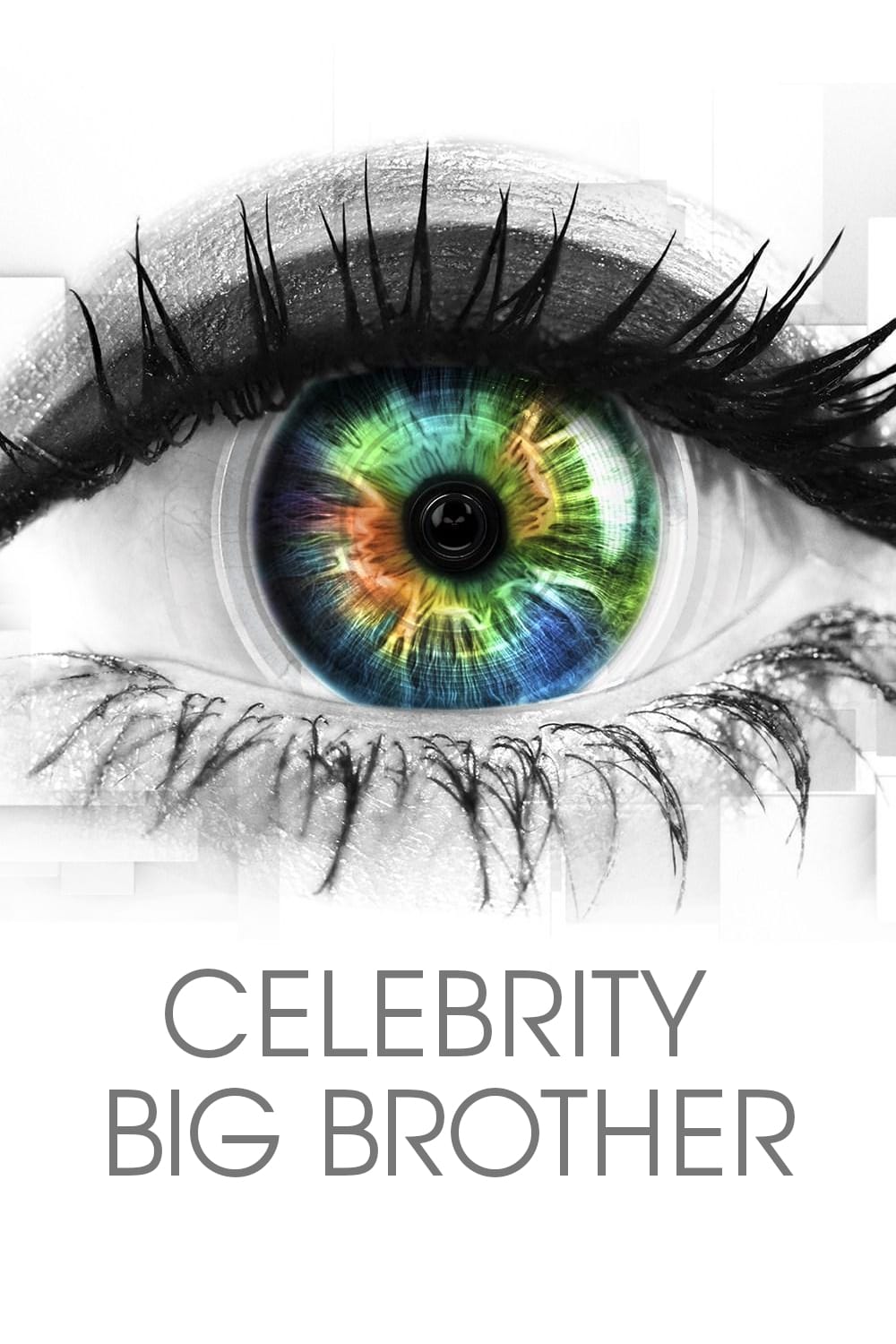 Celebrity Big Brother Picture - Image Abyss