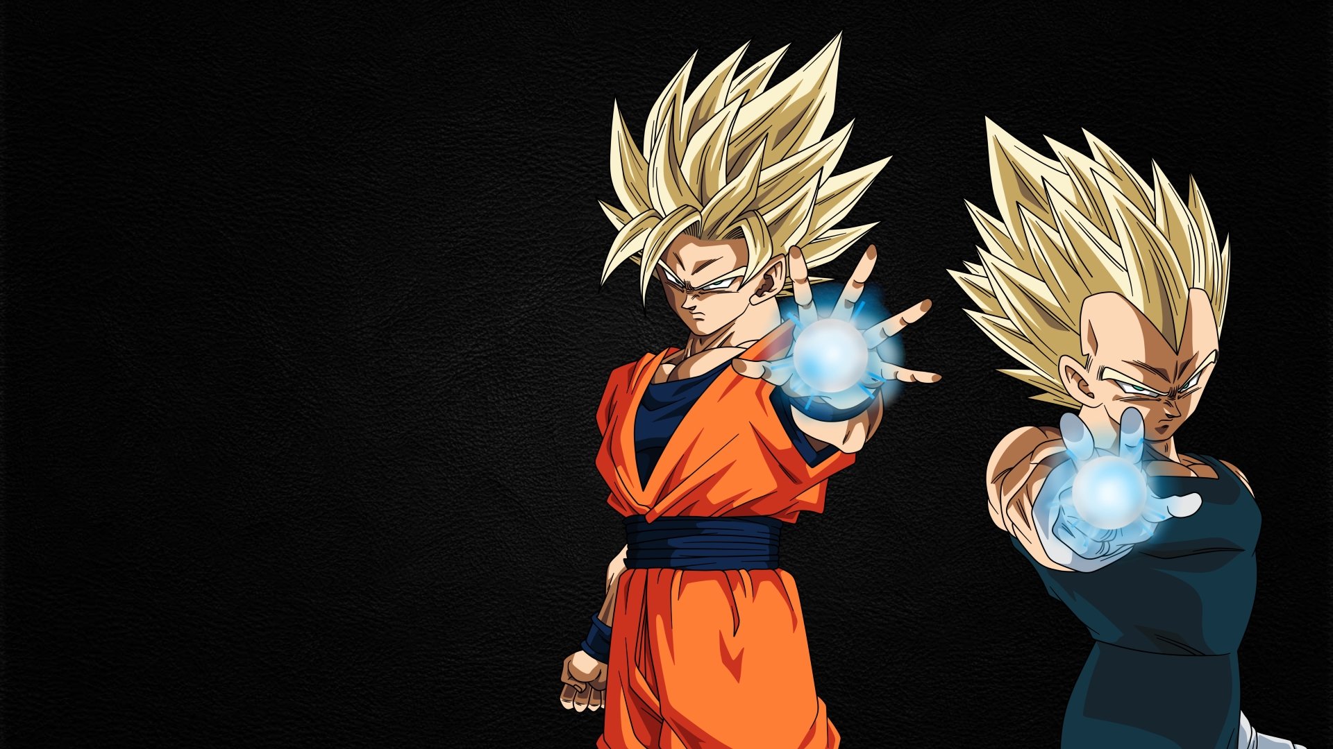  Goku and Vegeta