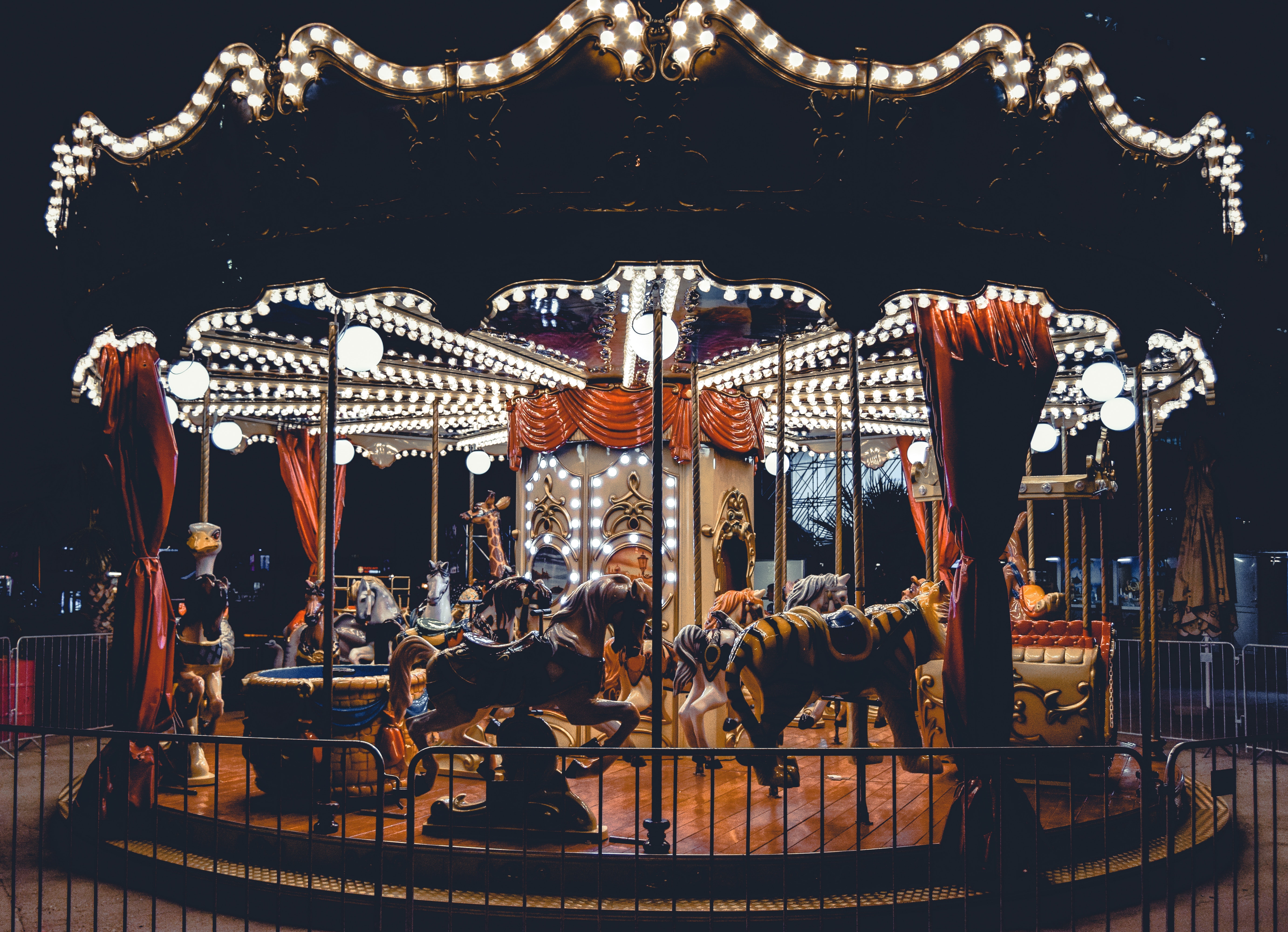 Carousel at Night.