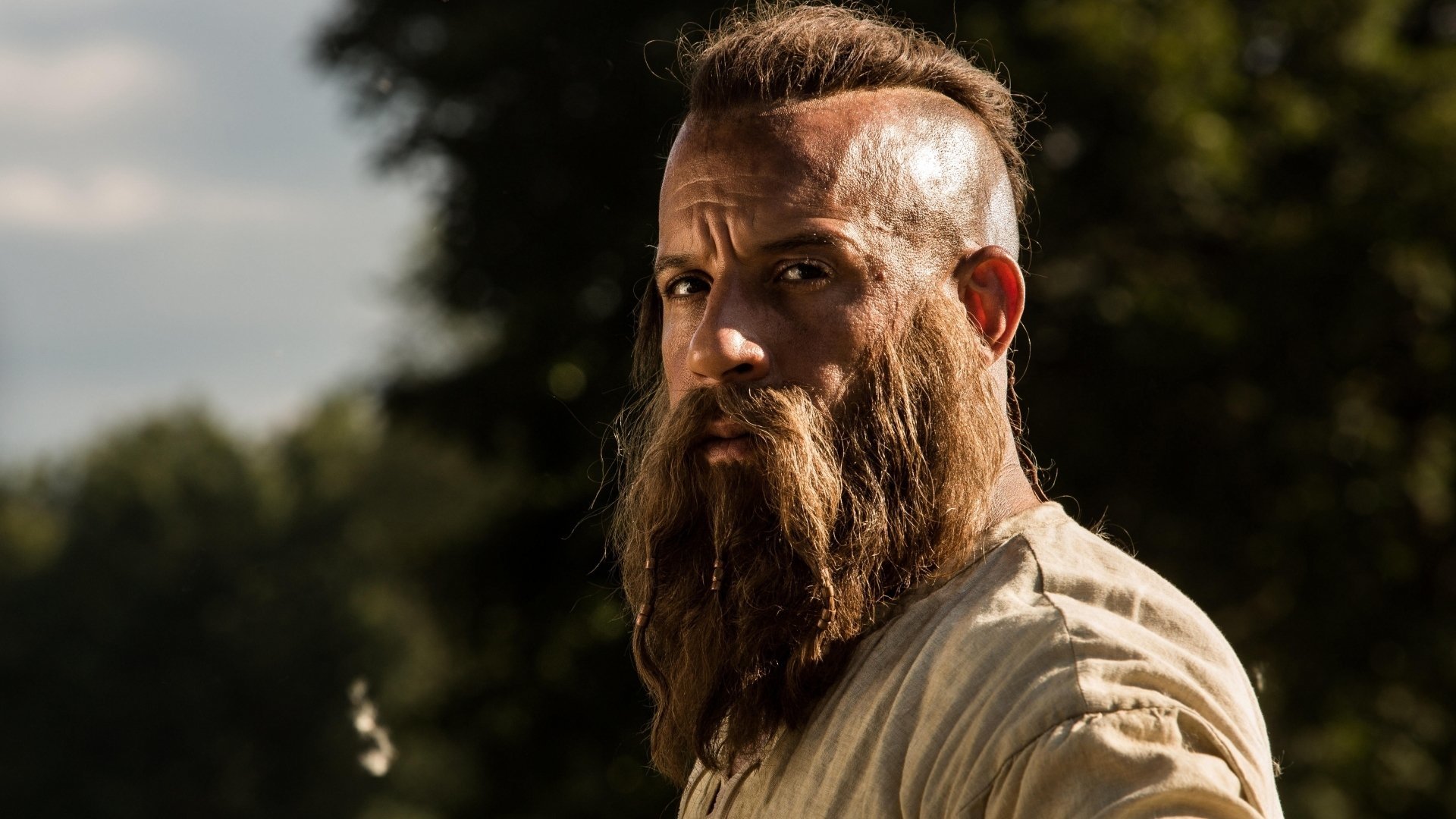 movie The Last Witch Hunter Image