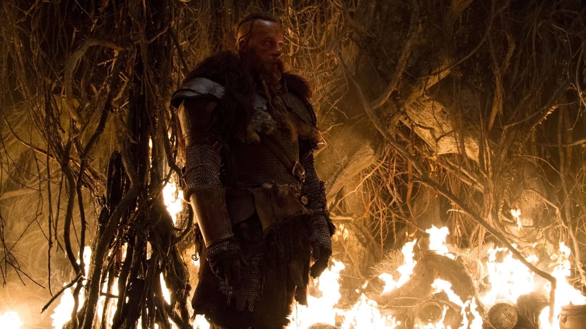 movie The Last Witch Hunter Image