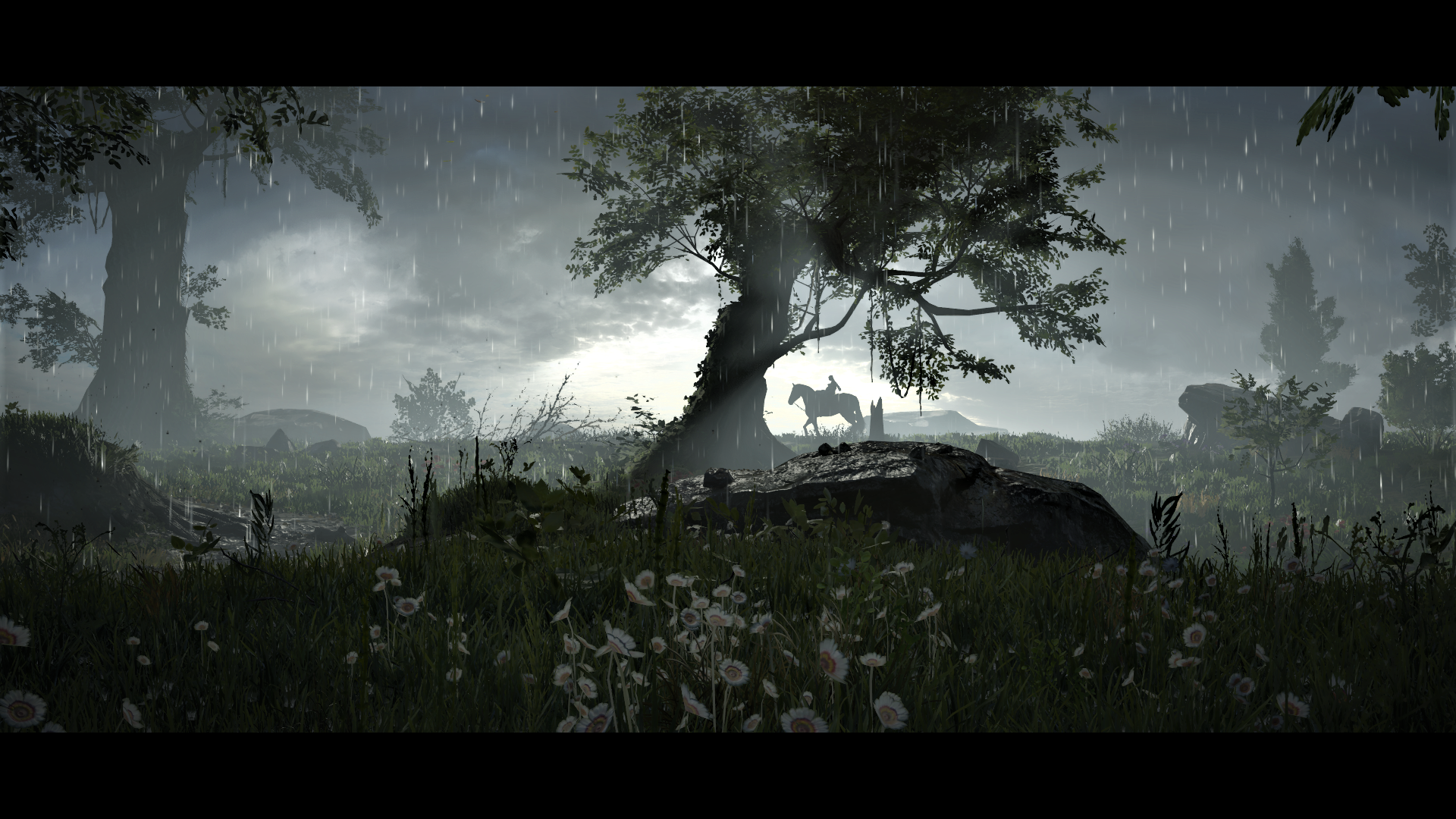 Shadow of the Colossus video game Shadow Of The Colossus (2018) Image